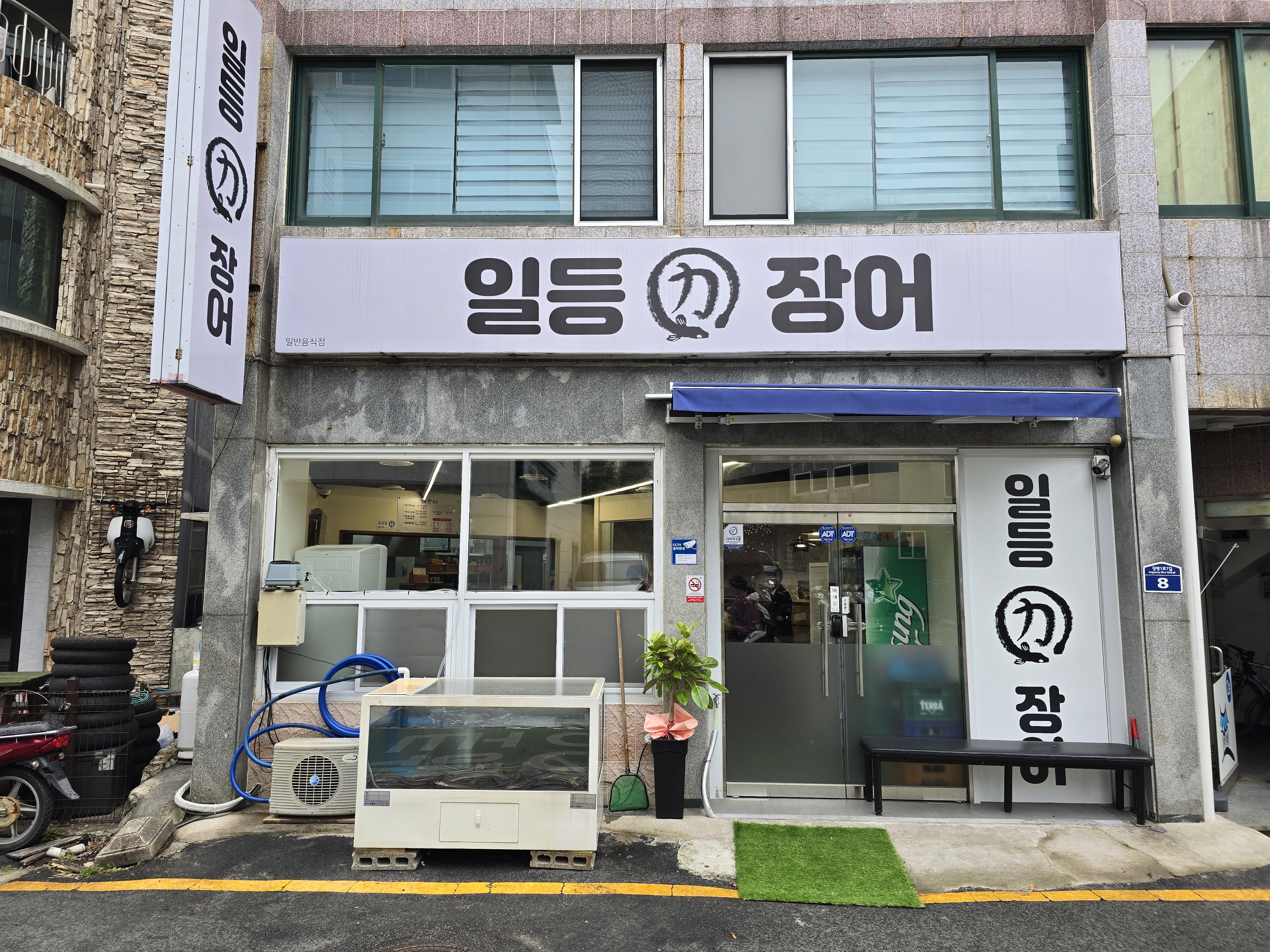 일등장어