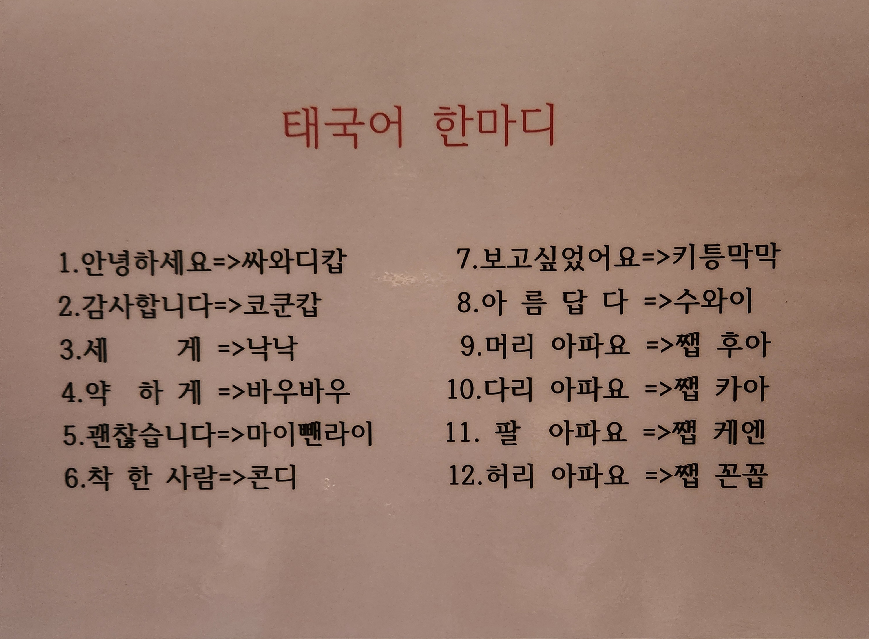 디디 photo 4