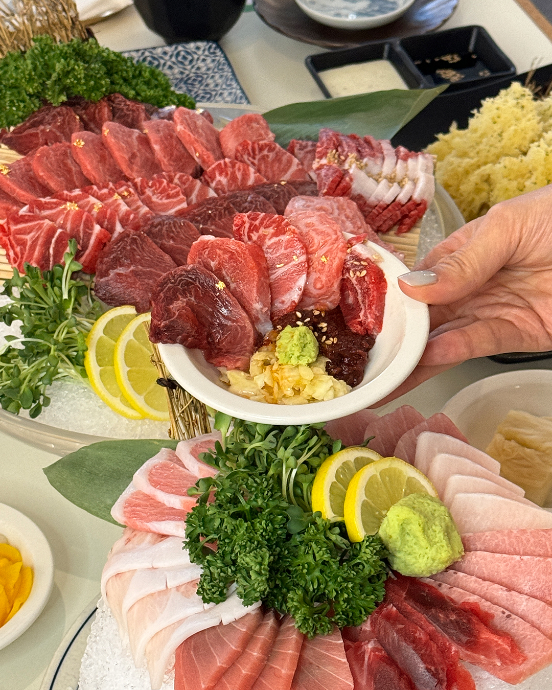 안참치