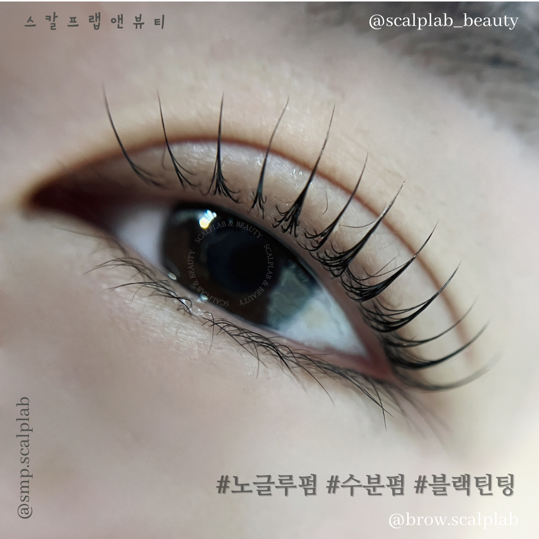 스칼프랩앤뷰티