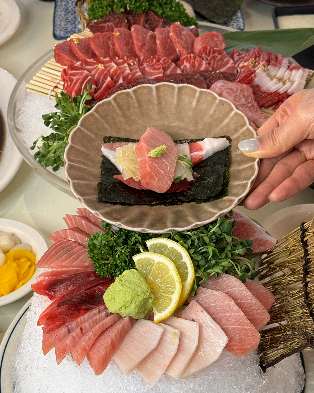 안참치