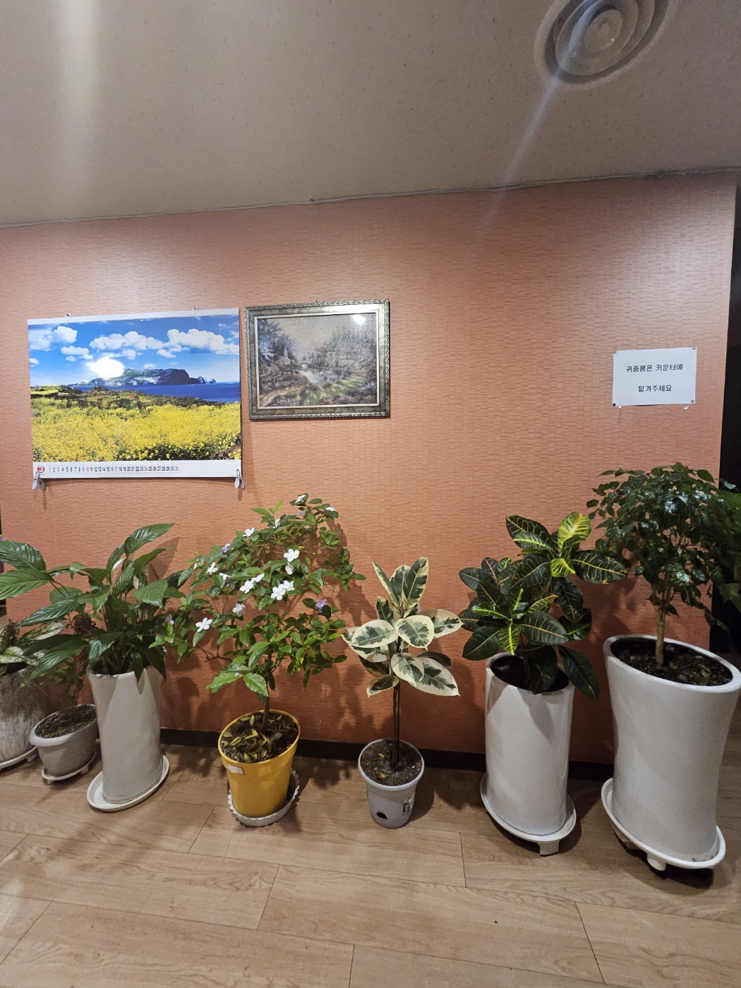 진시황마사지 photo 7