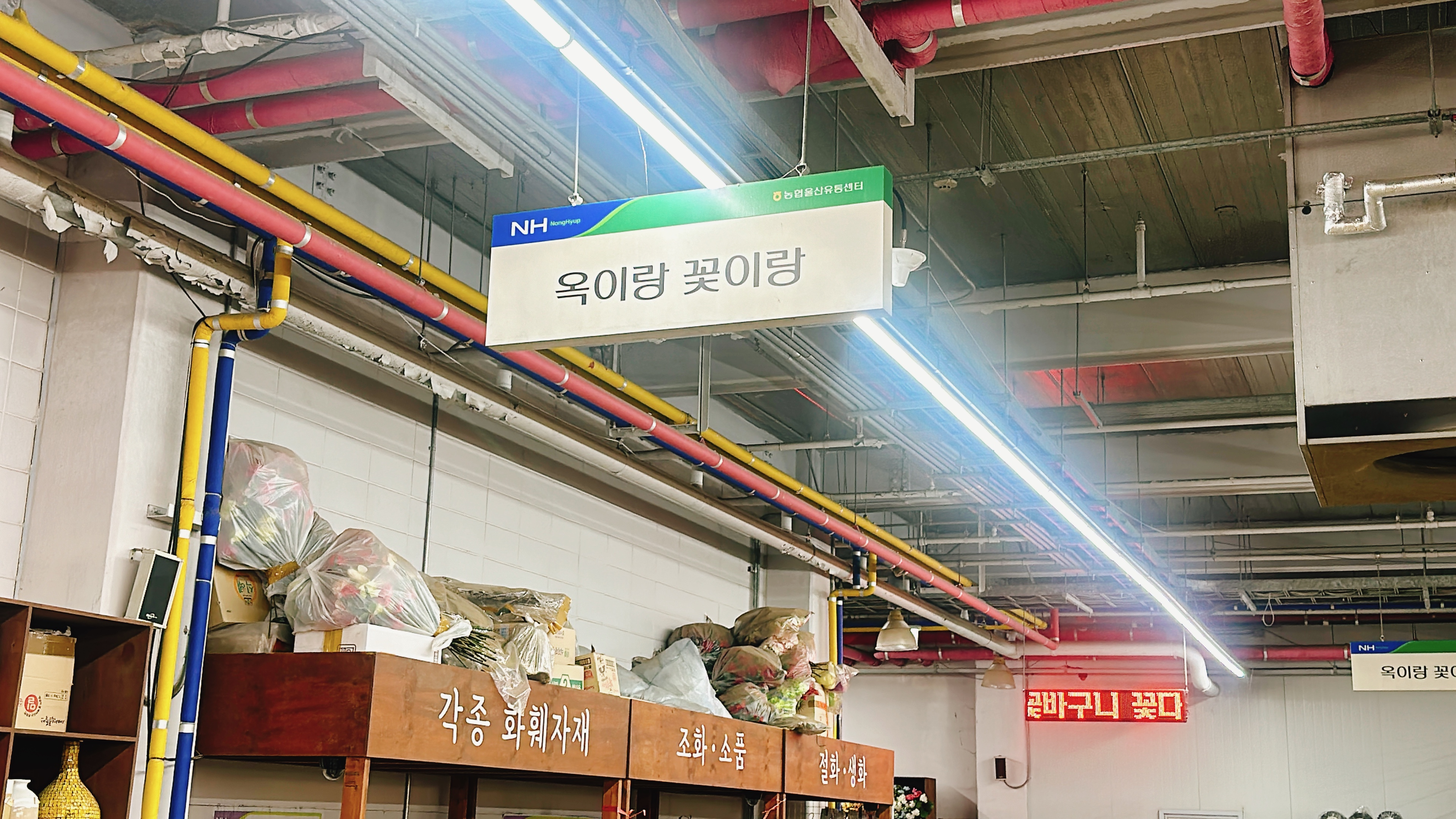 옥이랑꽃이랑