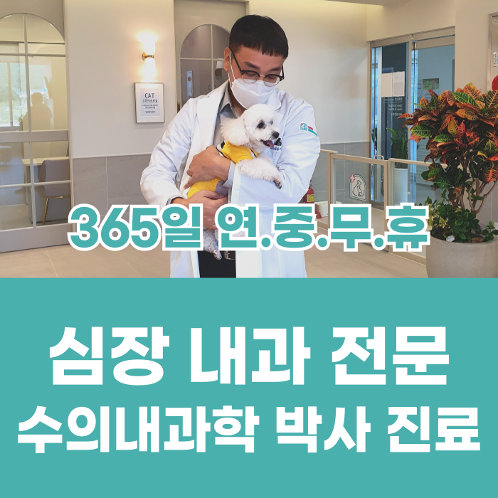 울산 잘하는동물메디컬센터