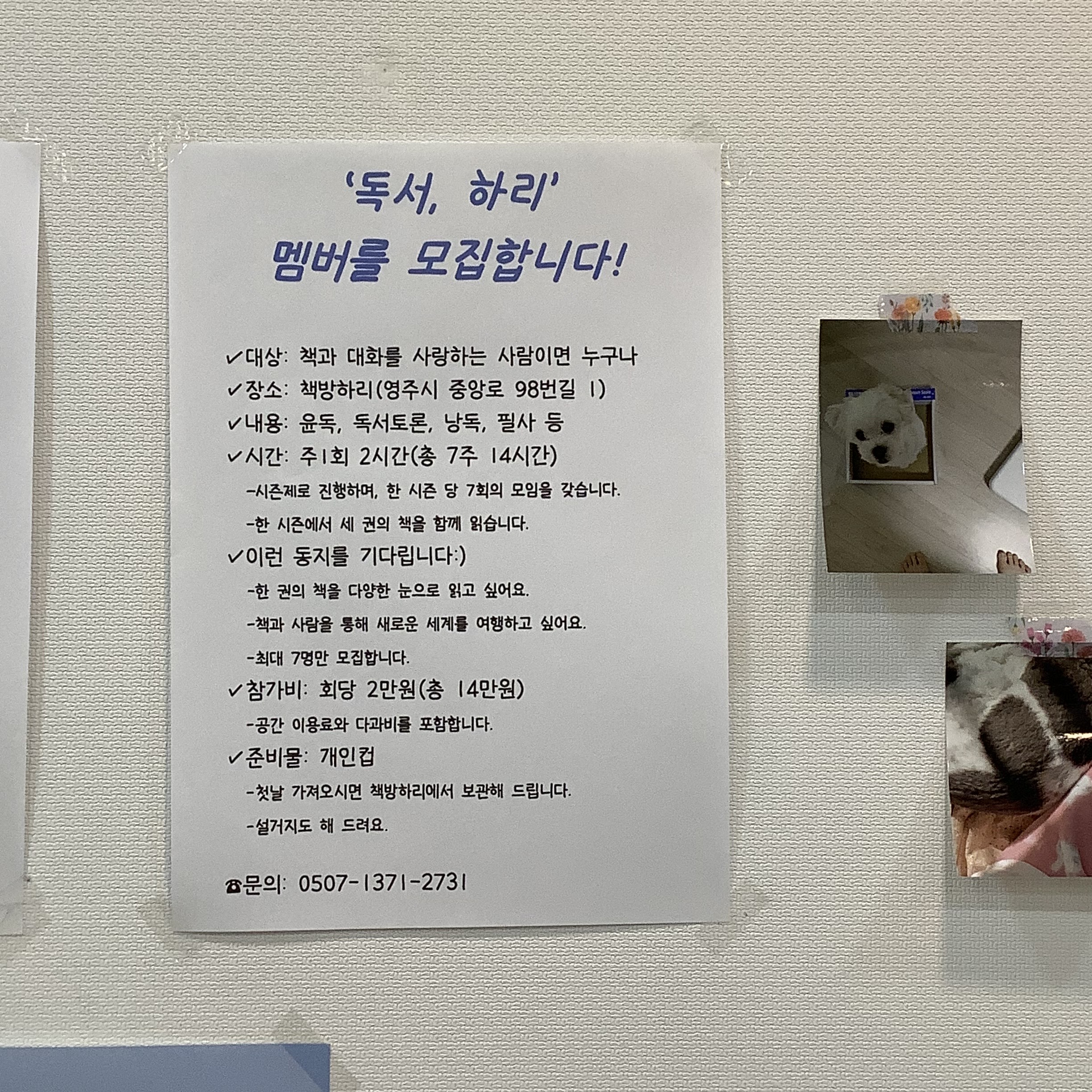 책방하리