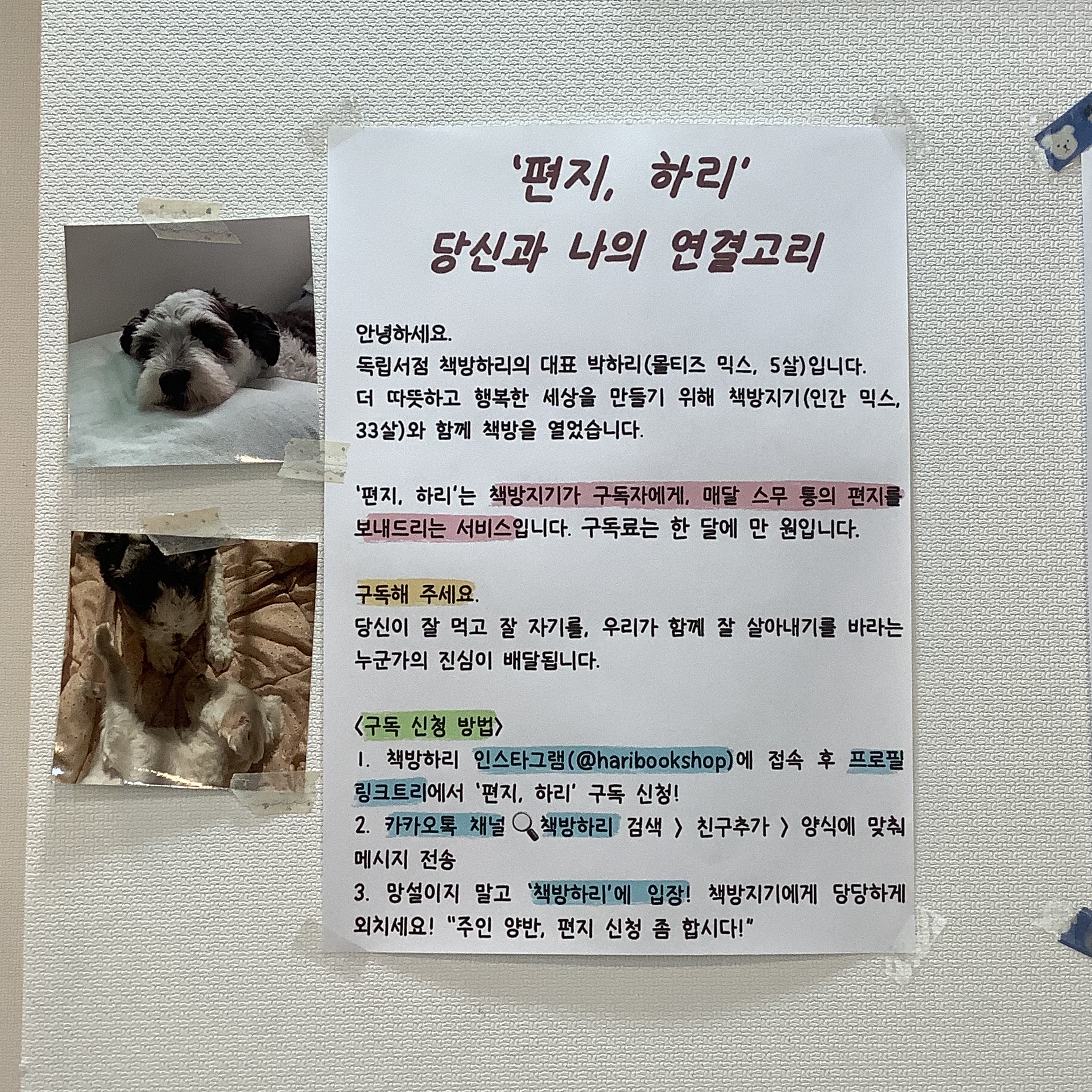 책방하리