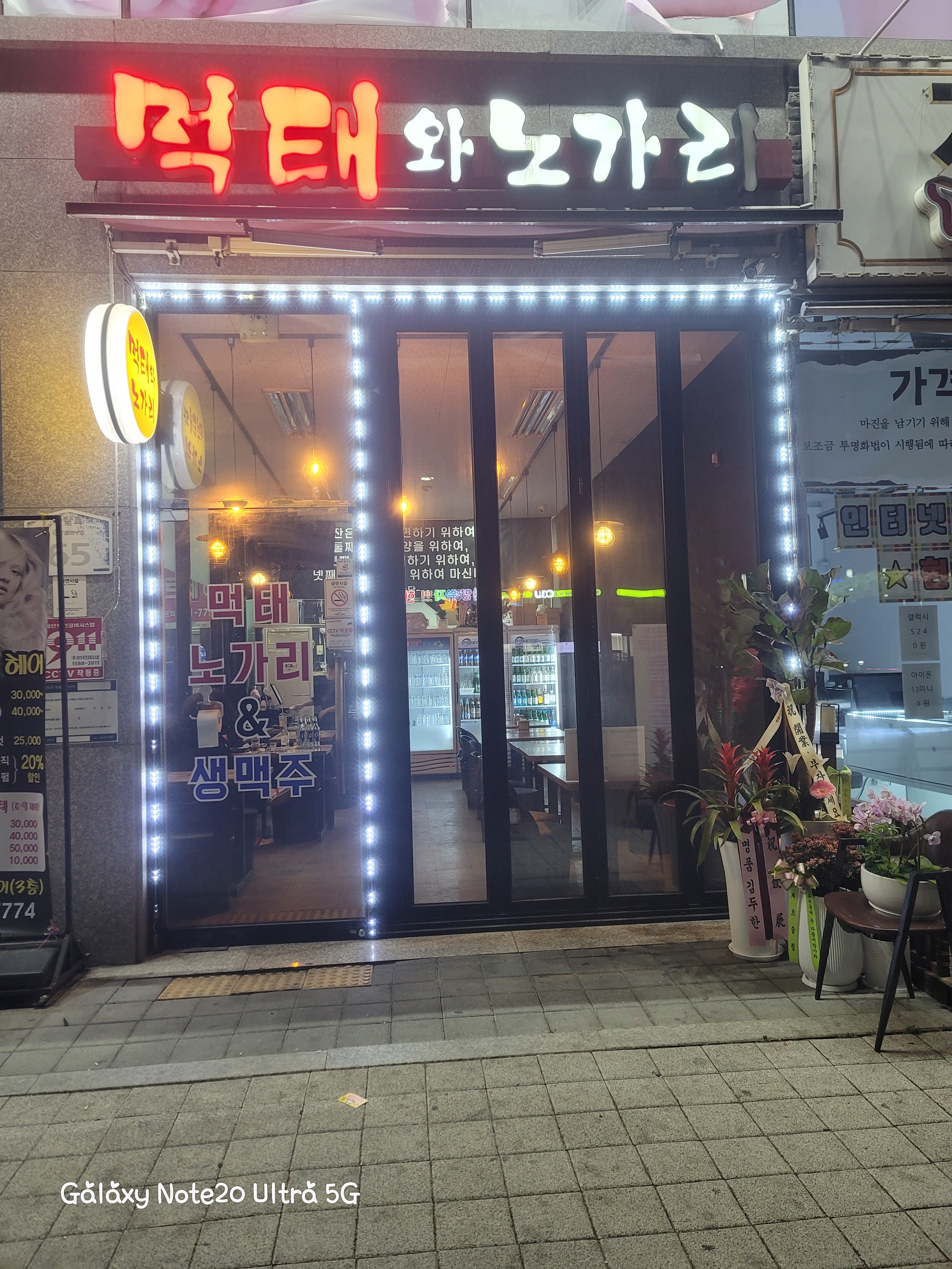 먹태와노가리