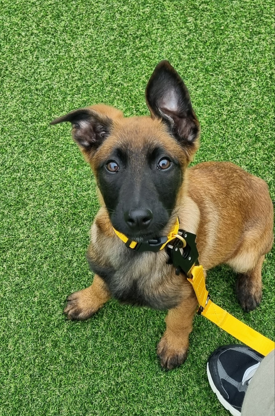 멍문 대표 이미지