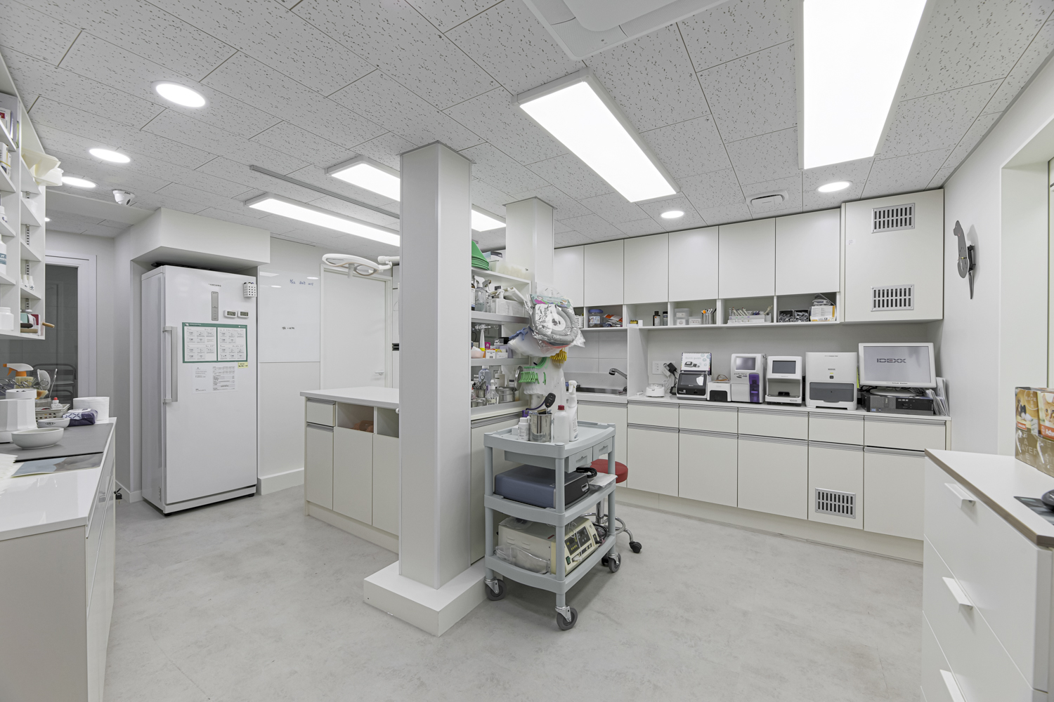 엘림동물의료센터 대표 이미지