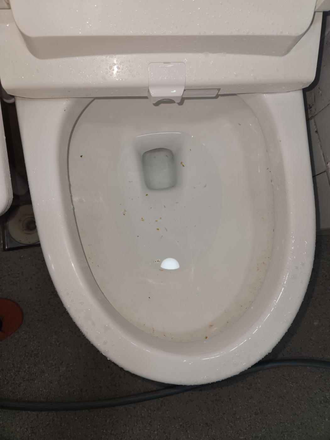 변기막힘