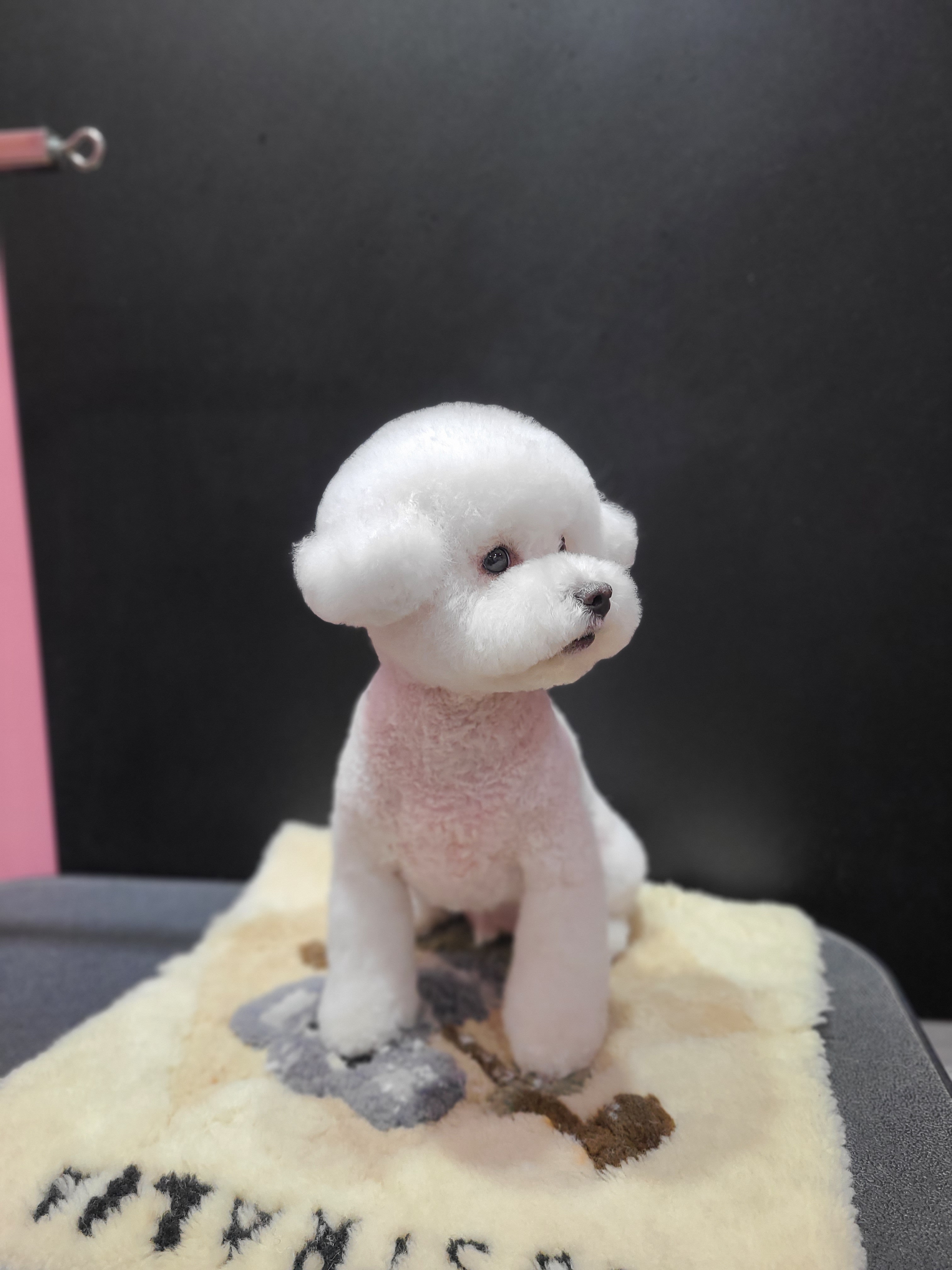 루이스독