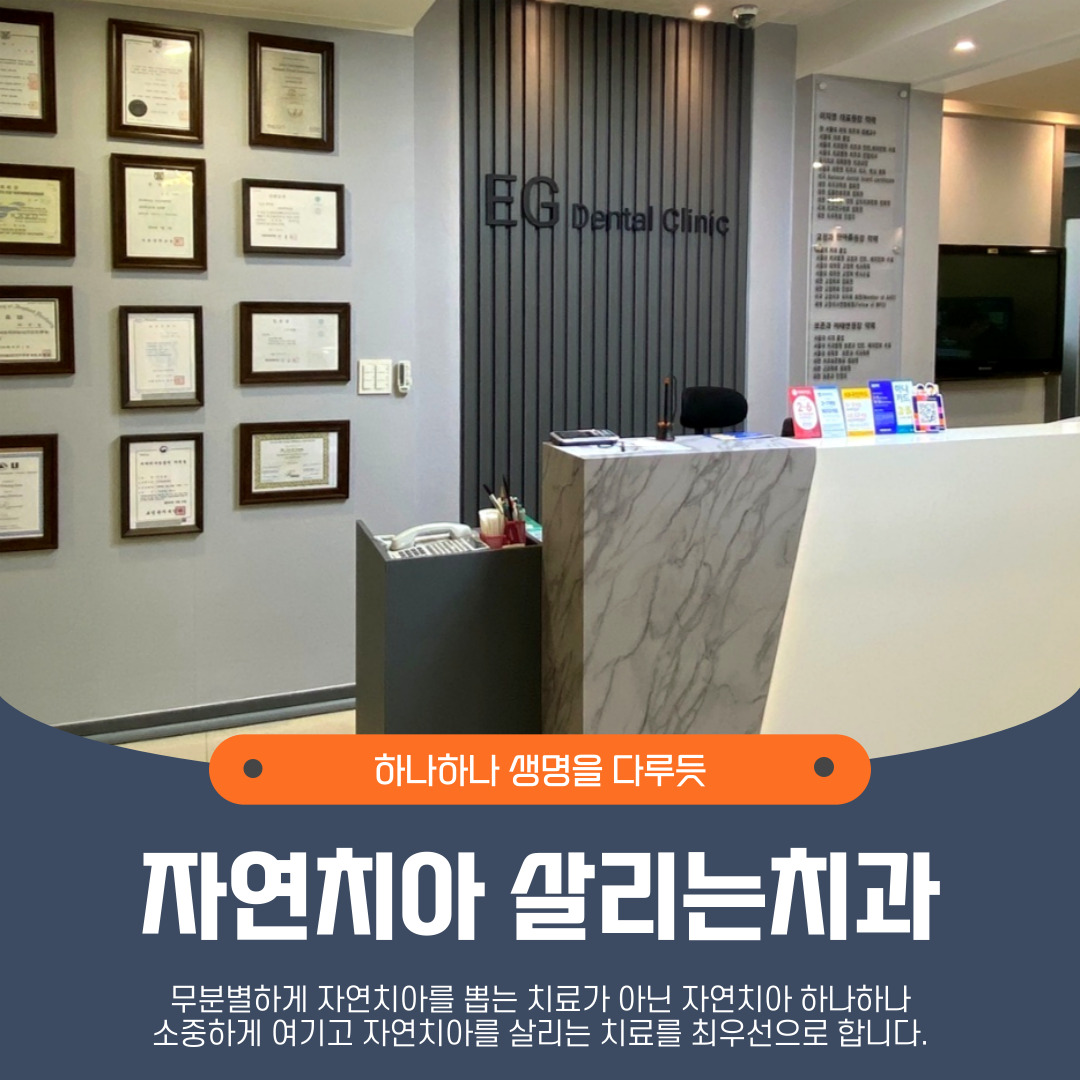 닥터이지치과의원