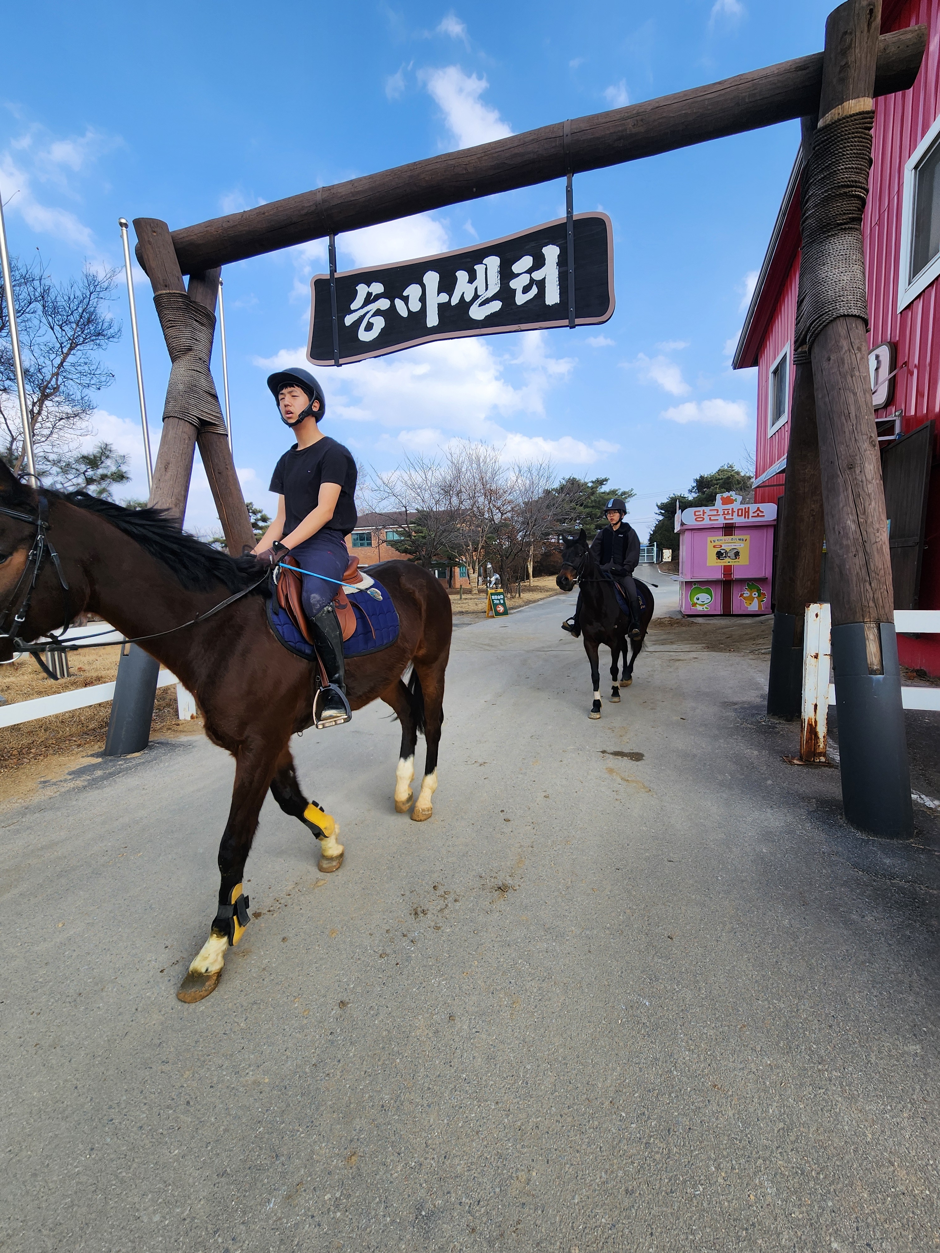 농협안성팜랜드승마센터