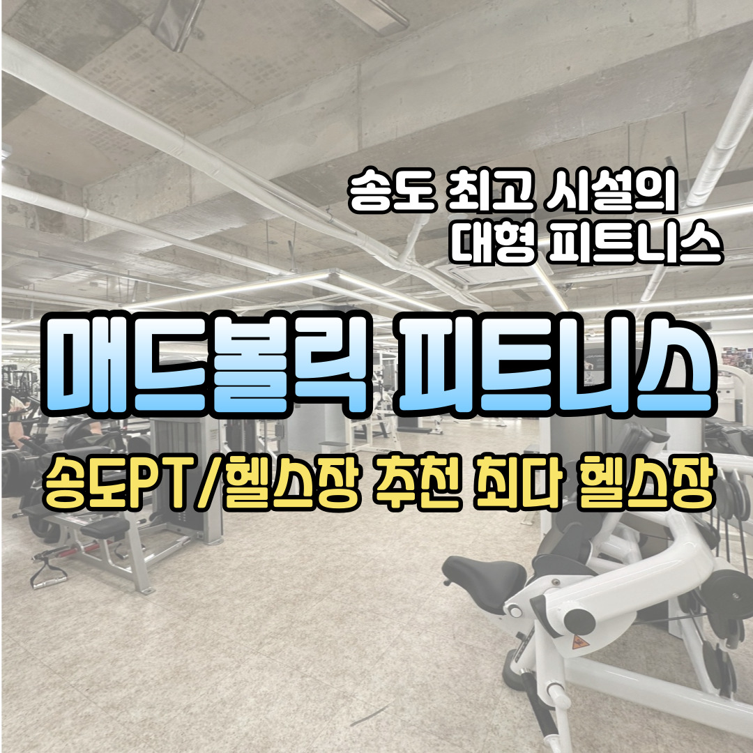 매드볼릭 PT 헬스장 송도