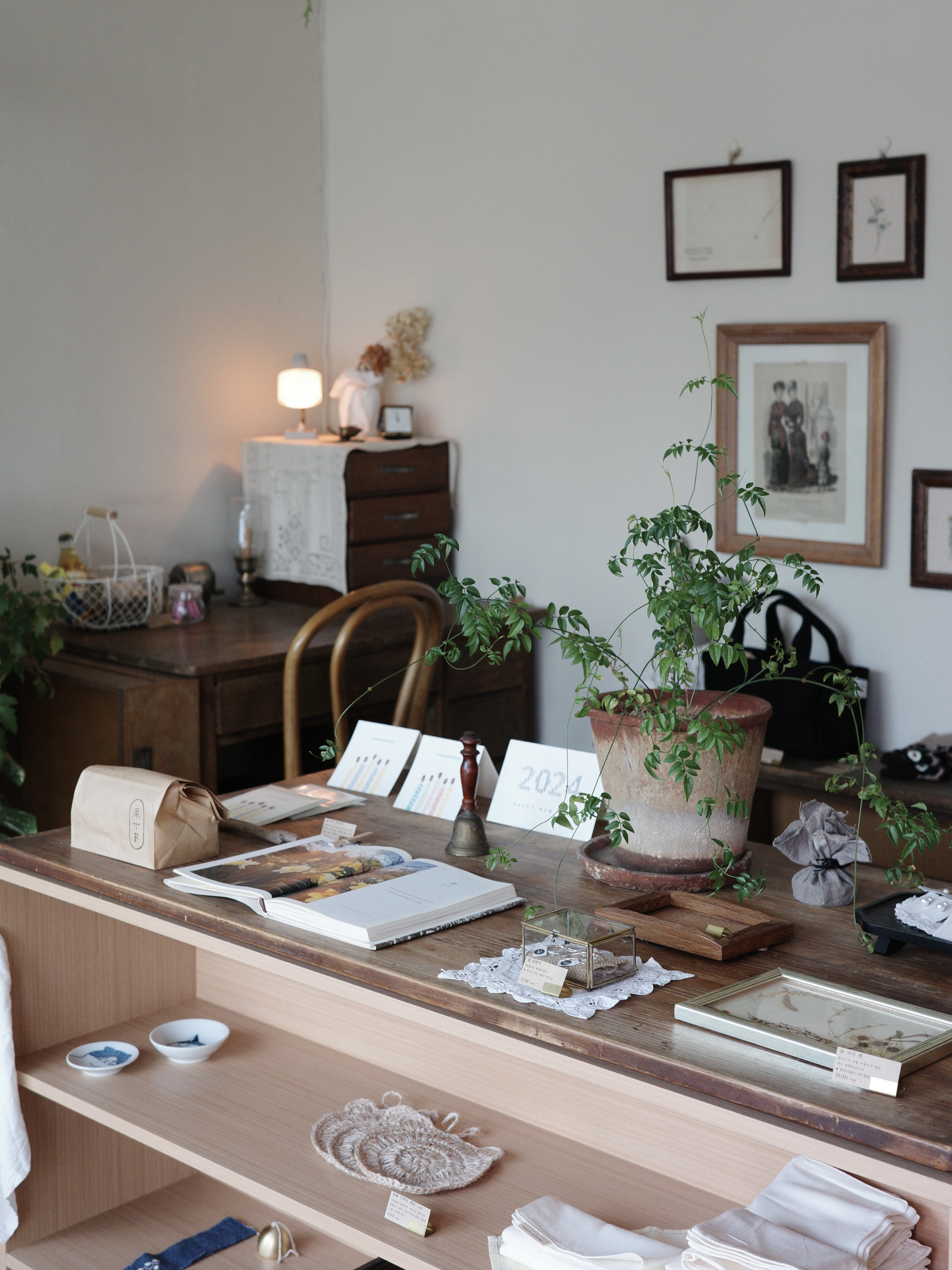 숲의계절 대표 이미지