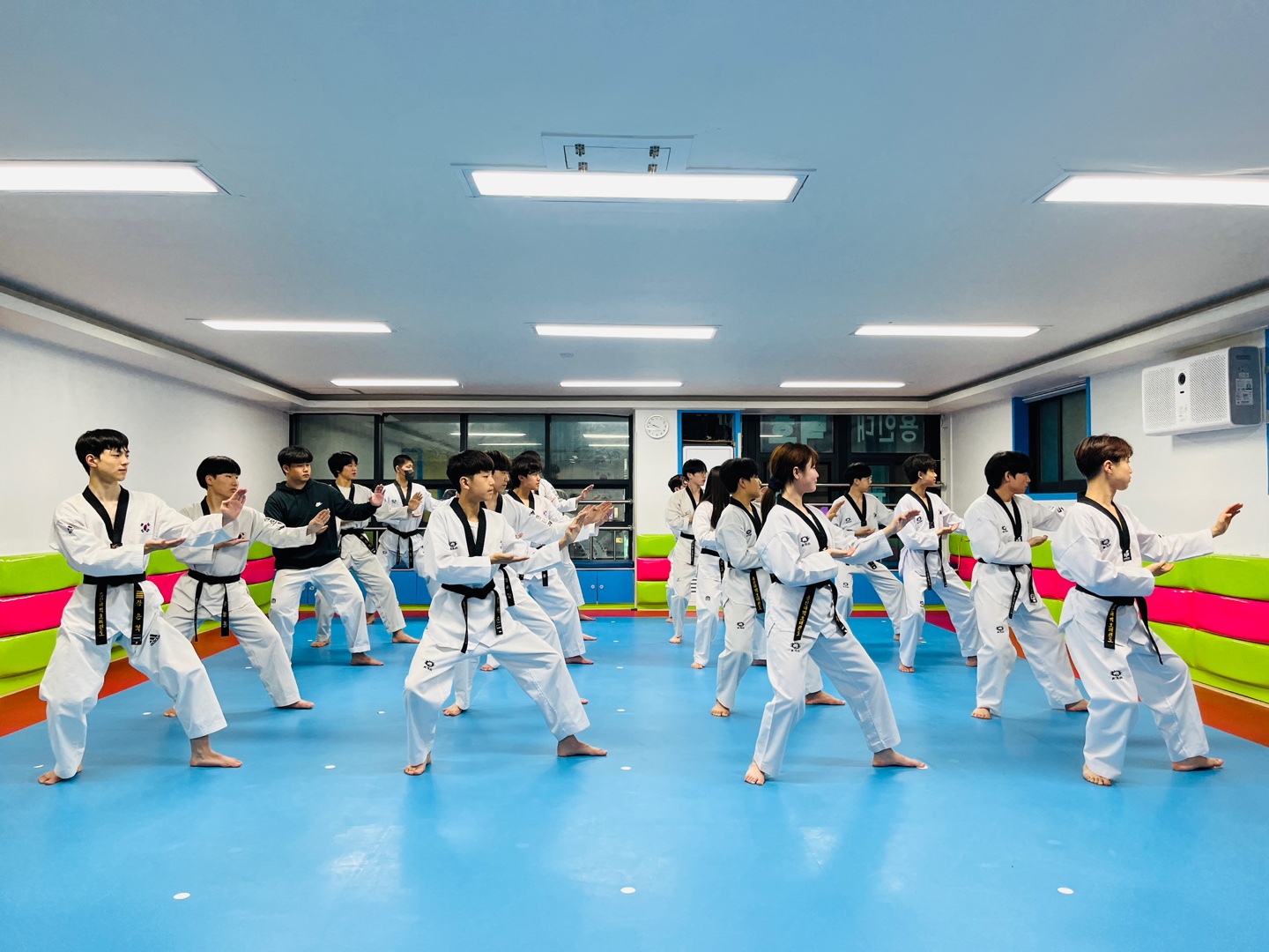 용인대백호태권도