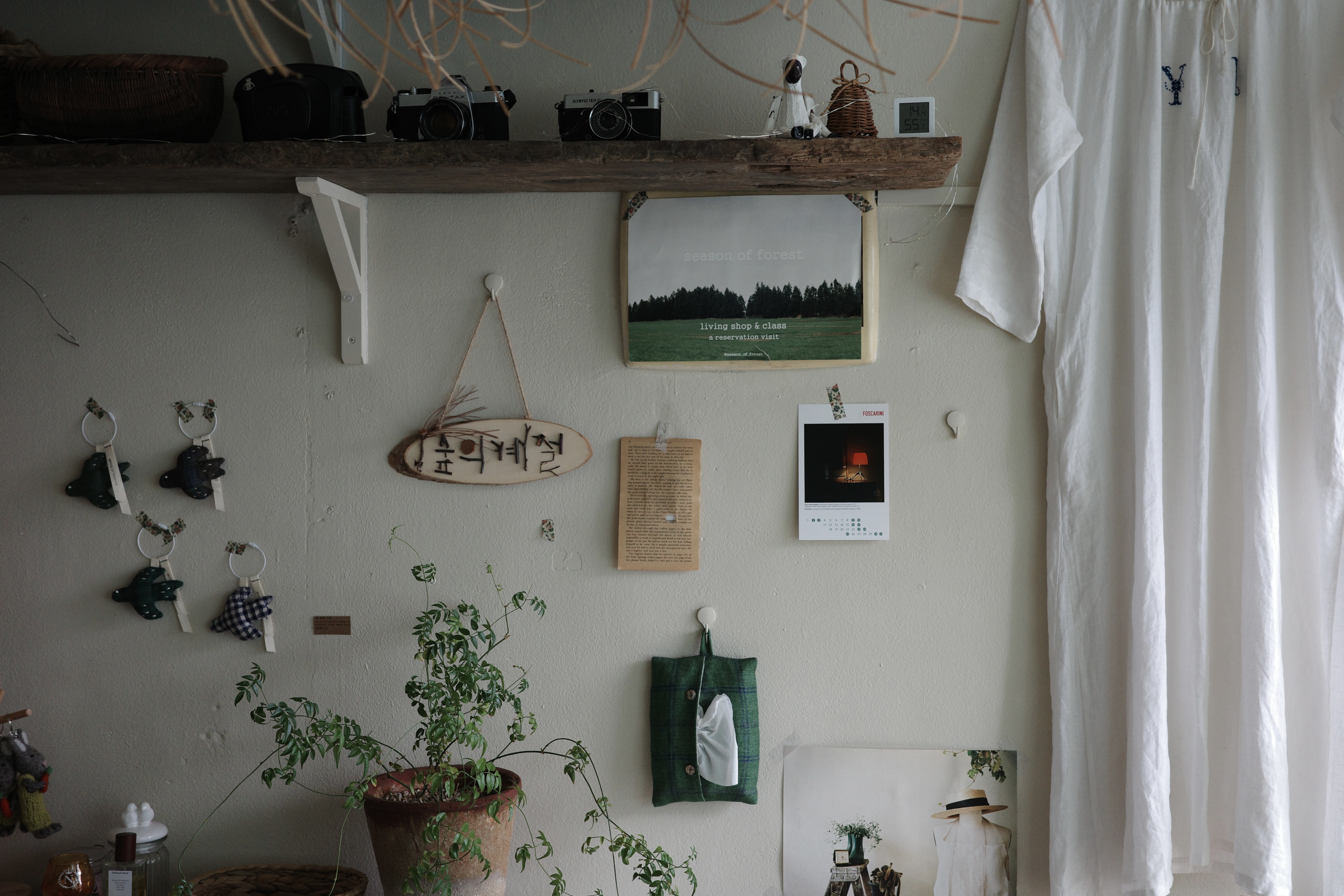 숲의계절 대표 이미지