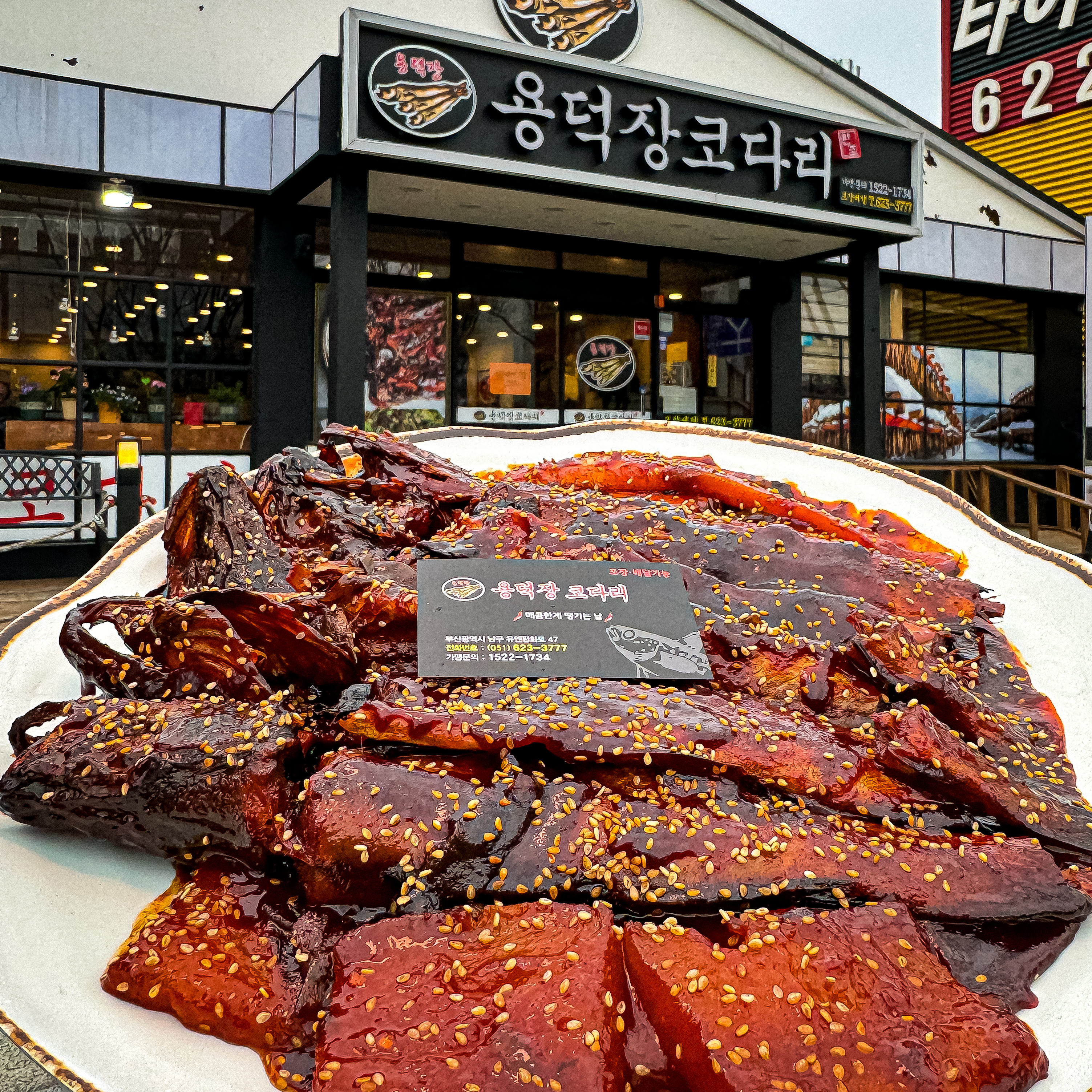 사상코다리
