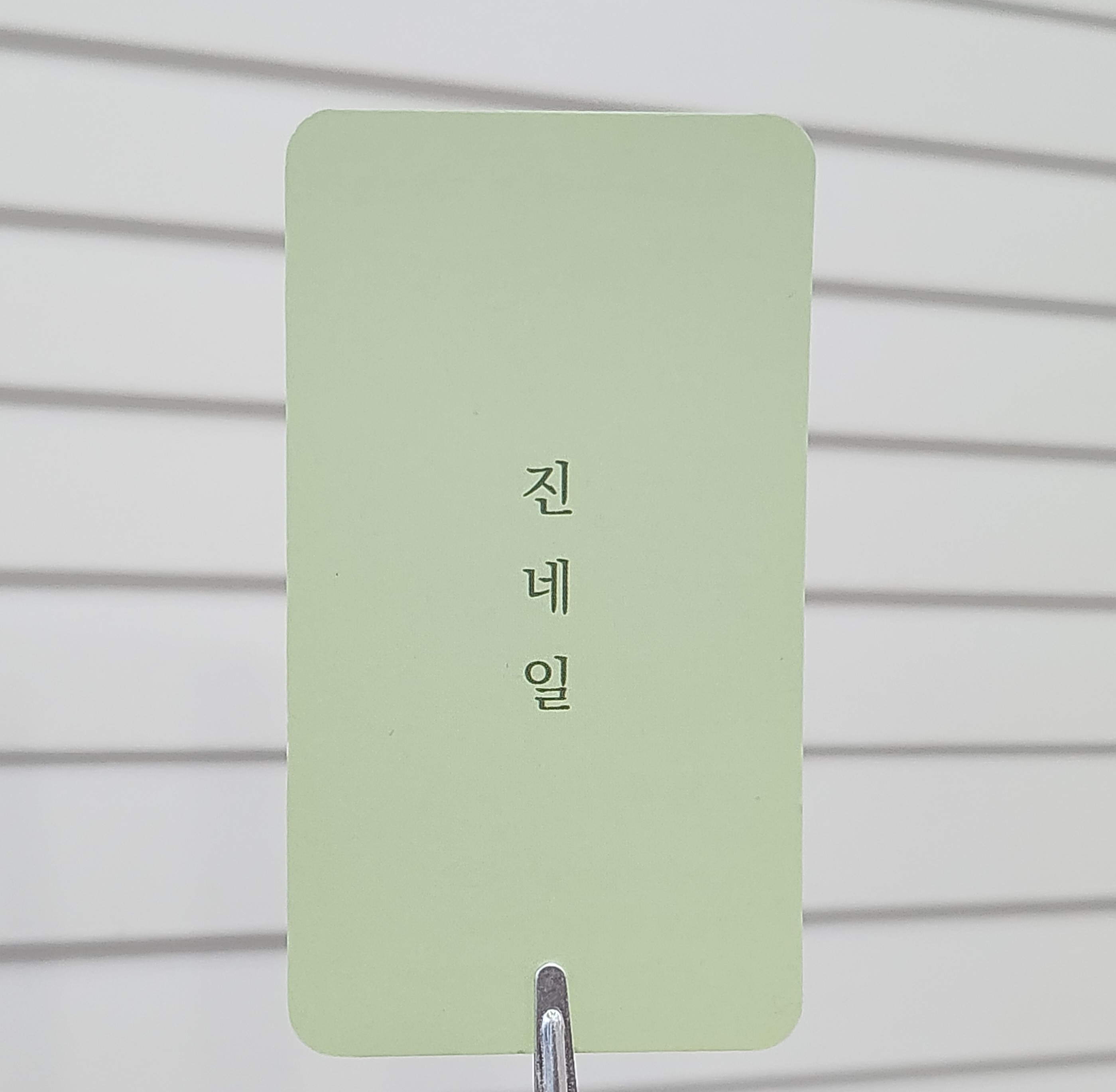 진네일