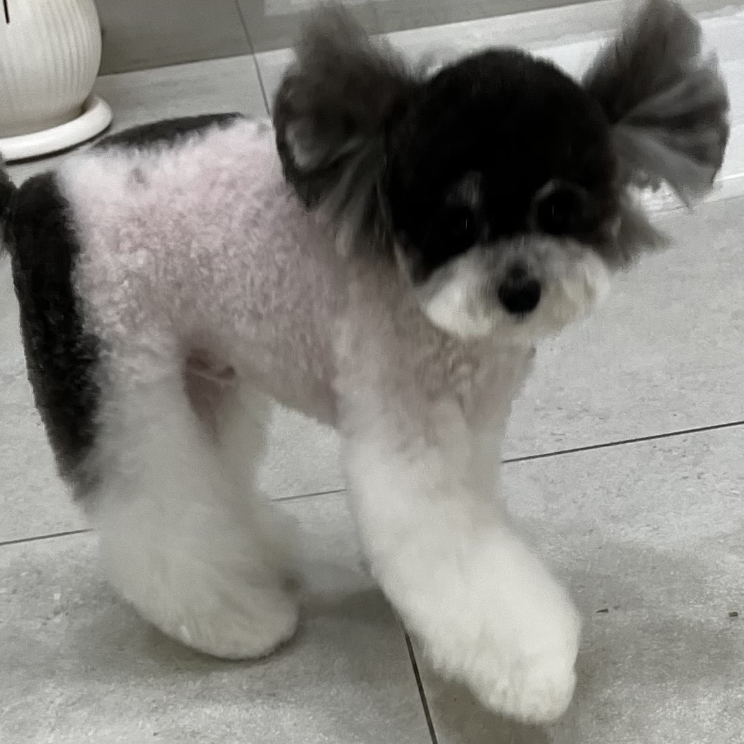 토리댕 대표 이미지