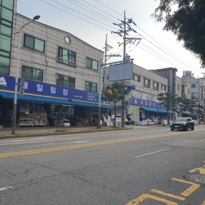 대일침장