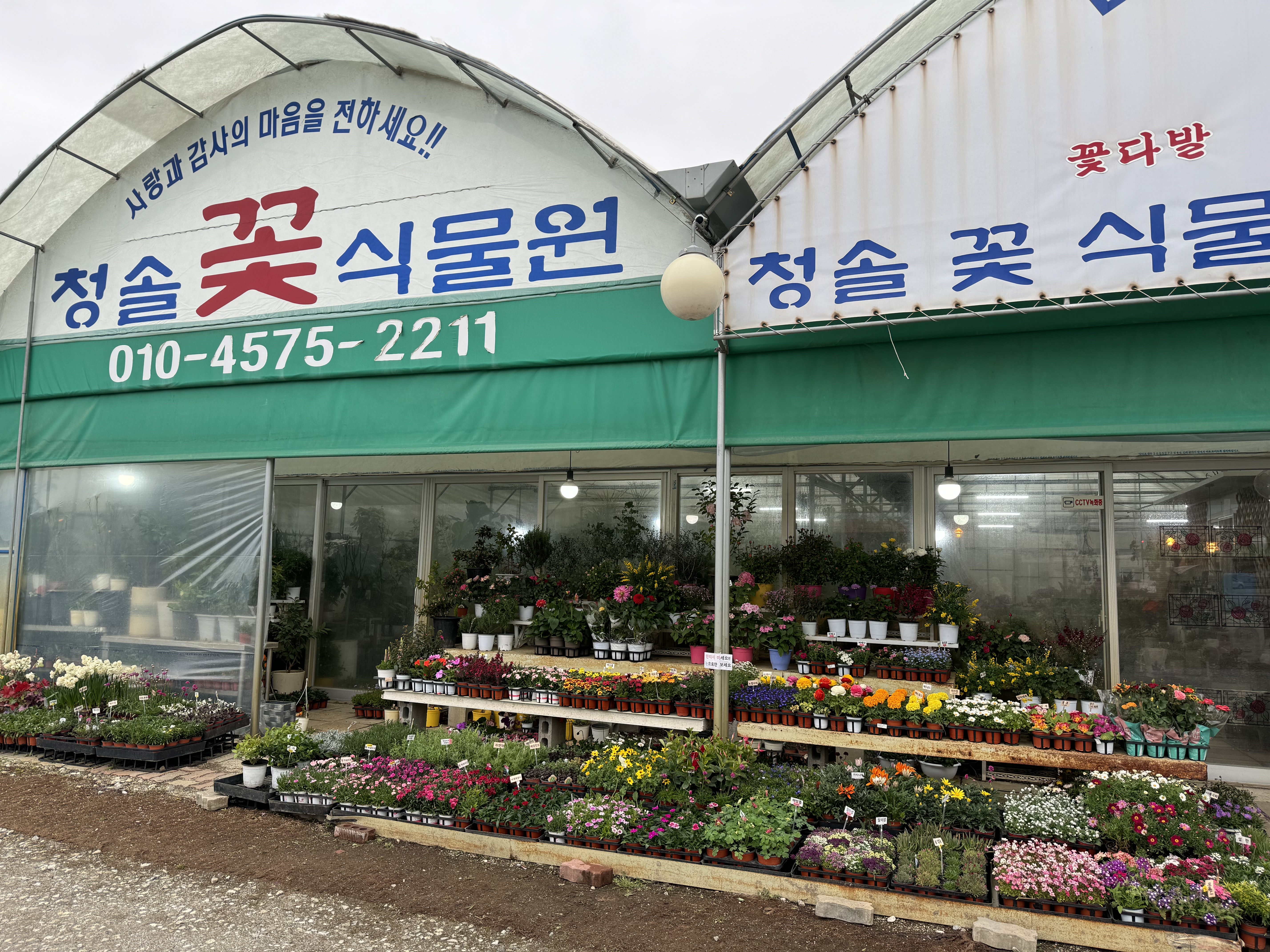 청솔꽃식물원