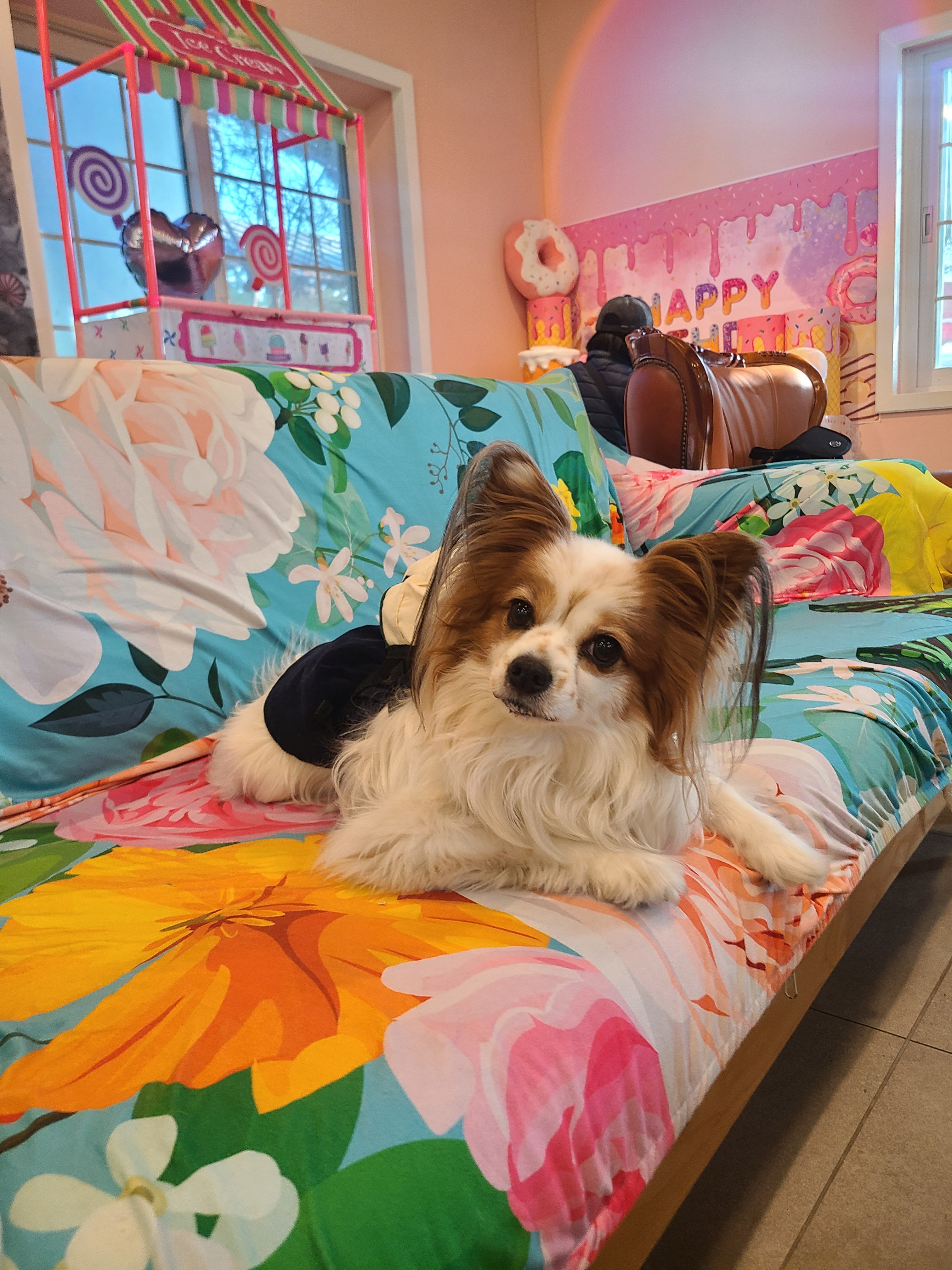 개떼놀이터 남양주