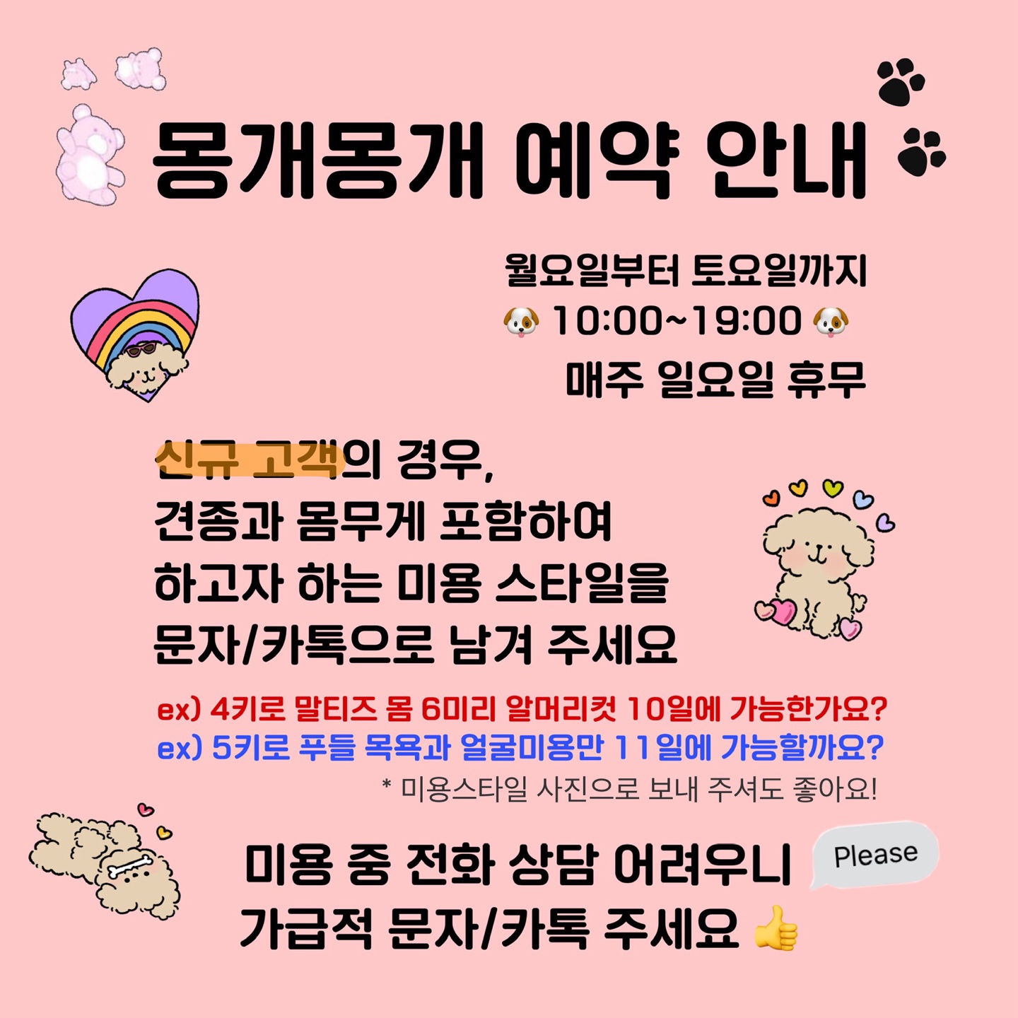 몽개몽개 반려동물 동반 애견카페