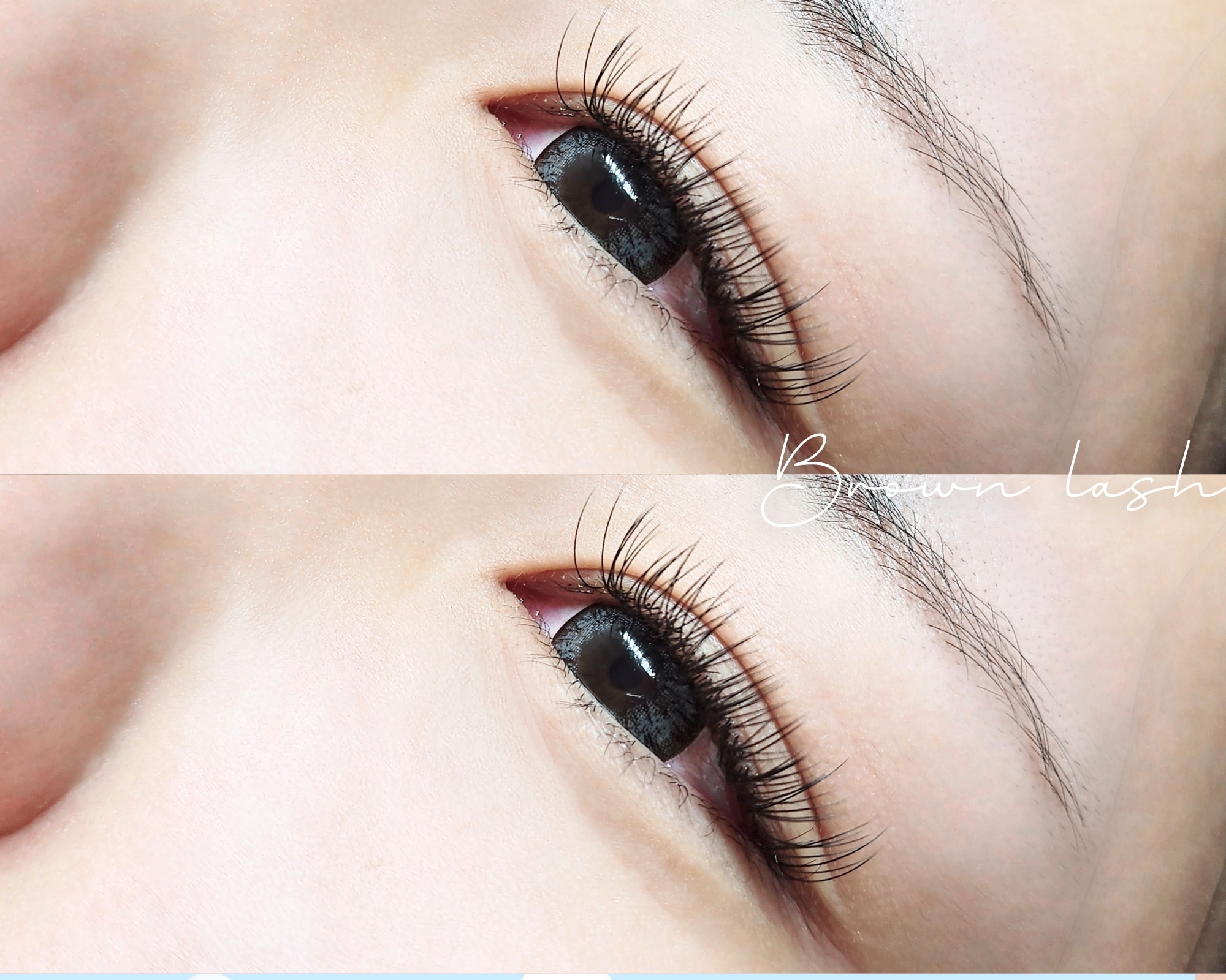 브라운 대표 이미지