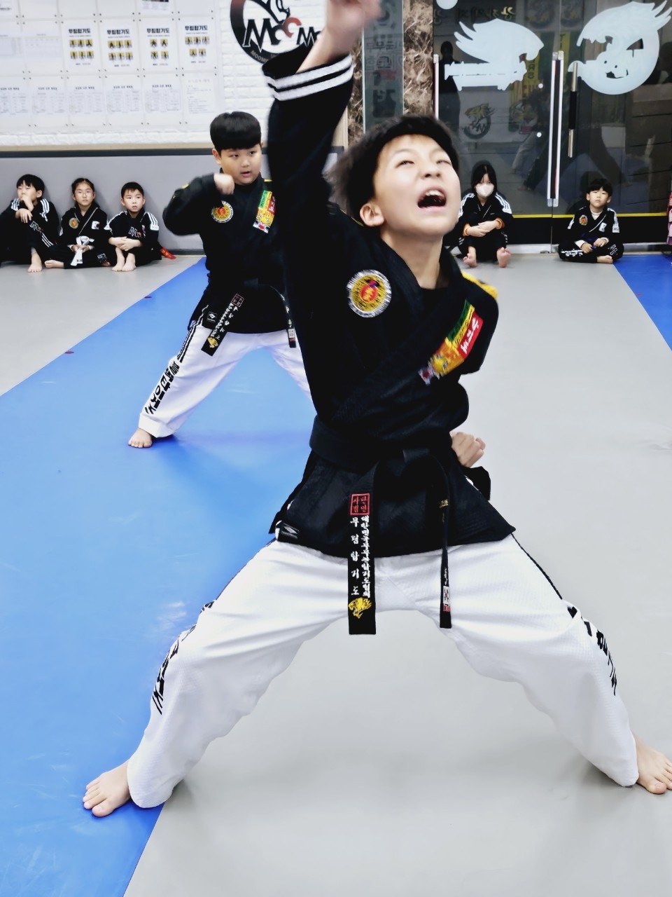 무림합기도