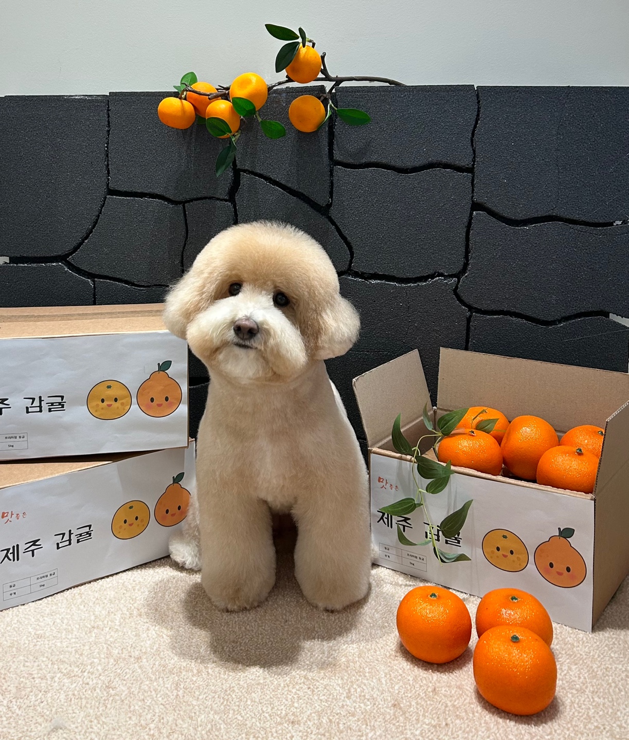 따숨