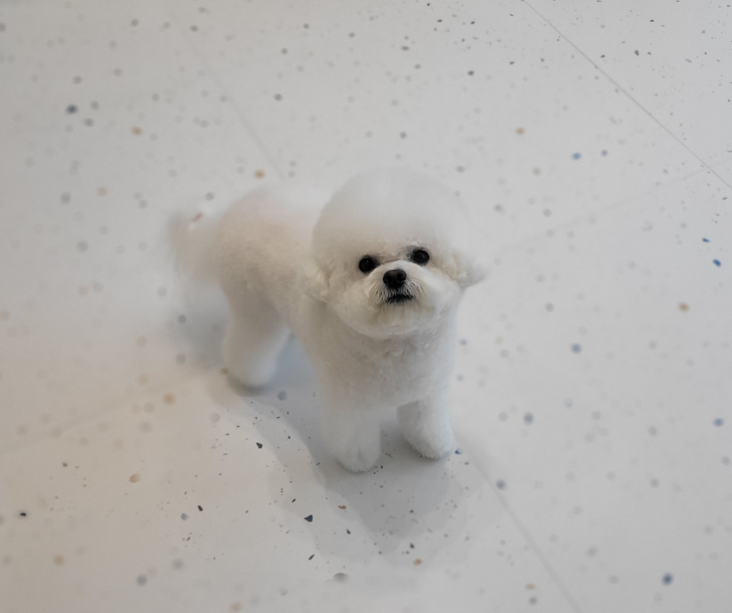 러키몽 대표 이미지