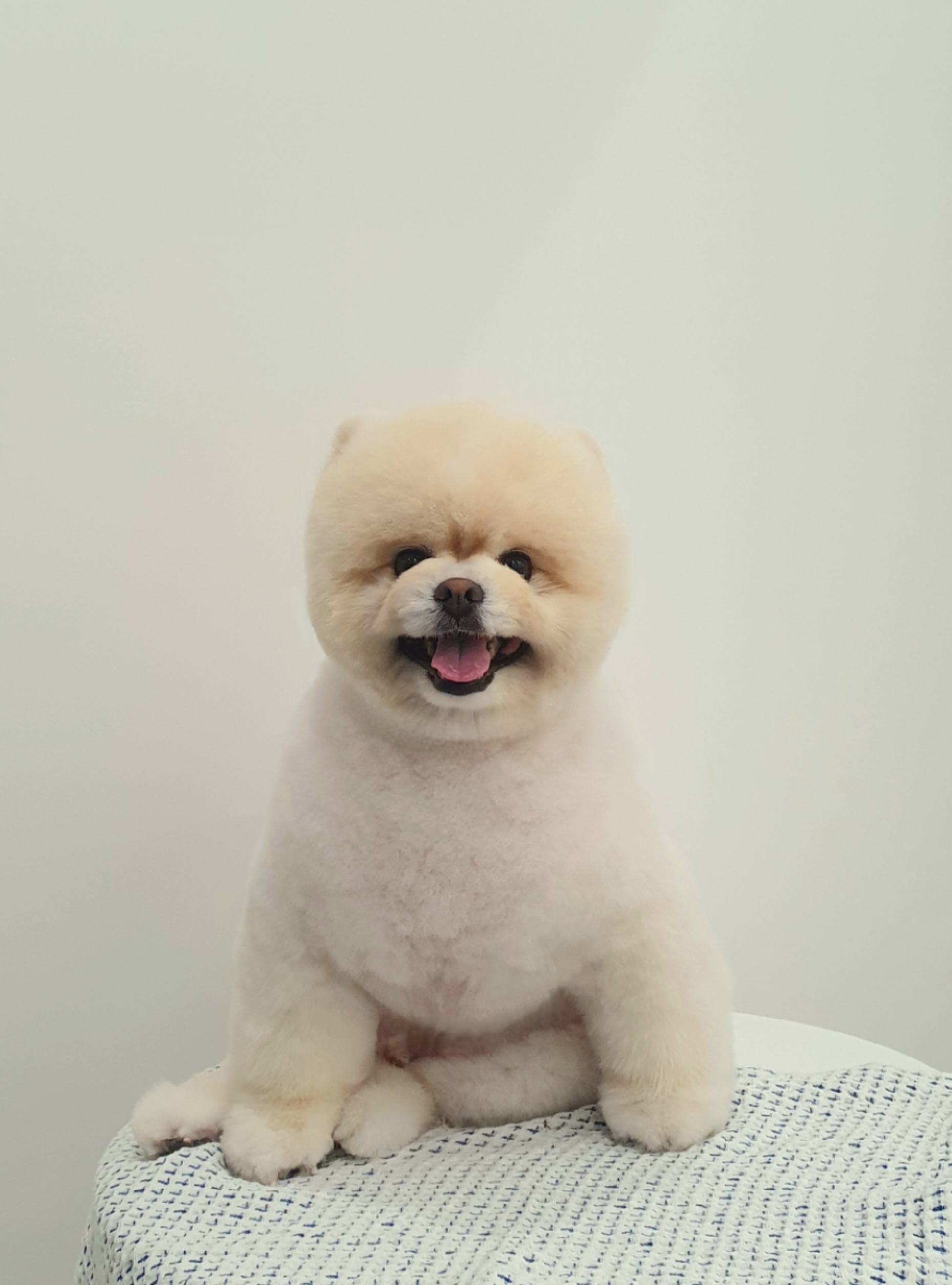 더 러블리 대표 이미지
