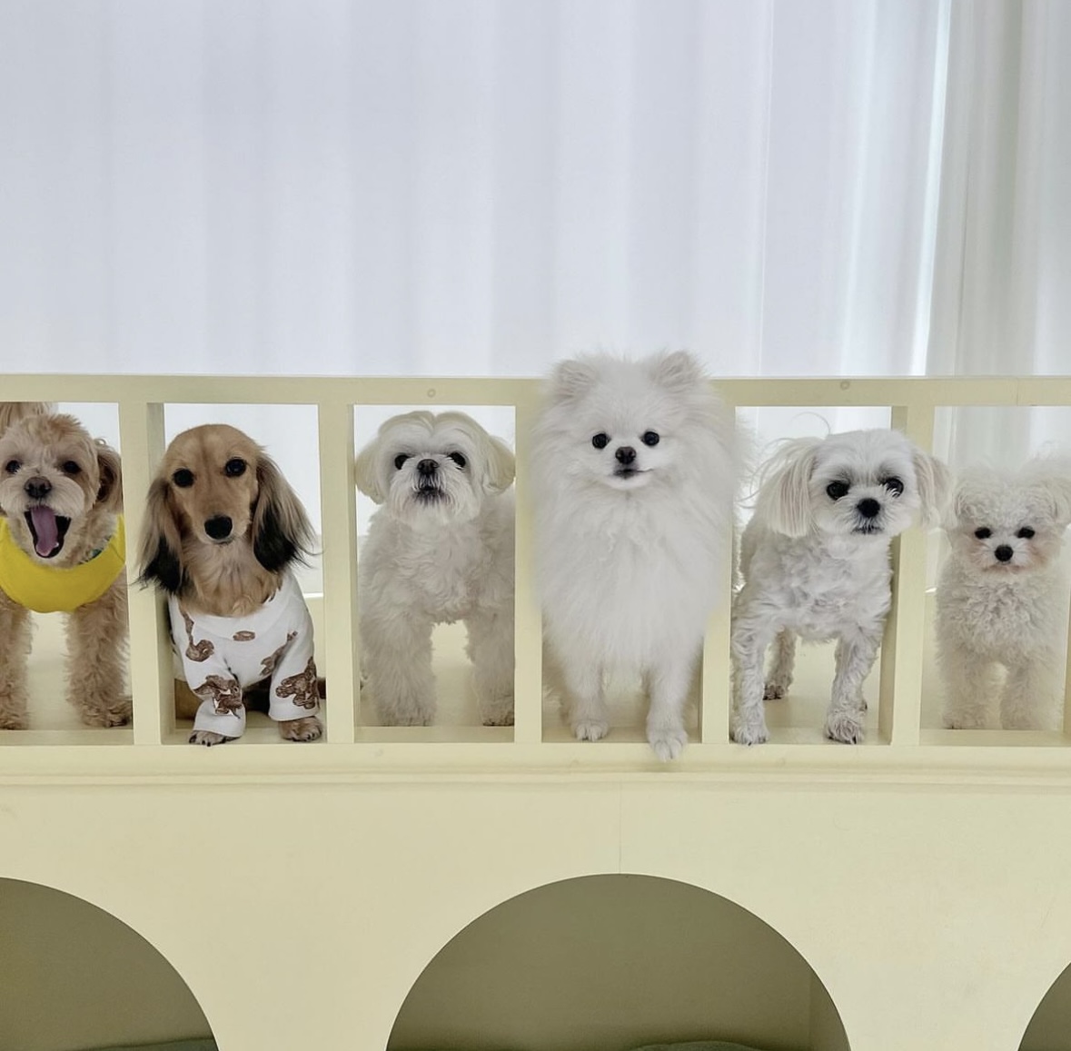 베어몽 대표 이미지