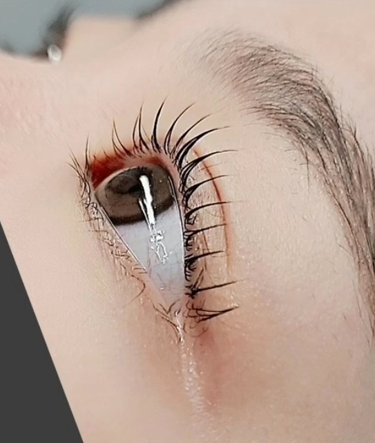 도도 디자인
