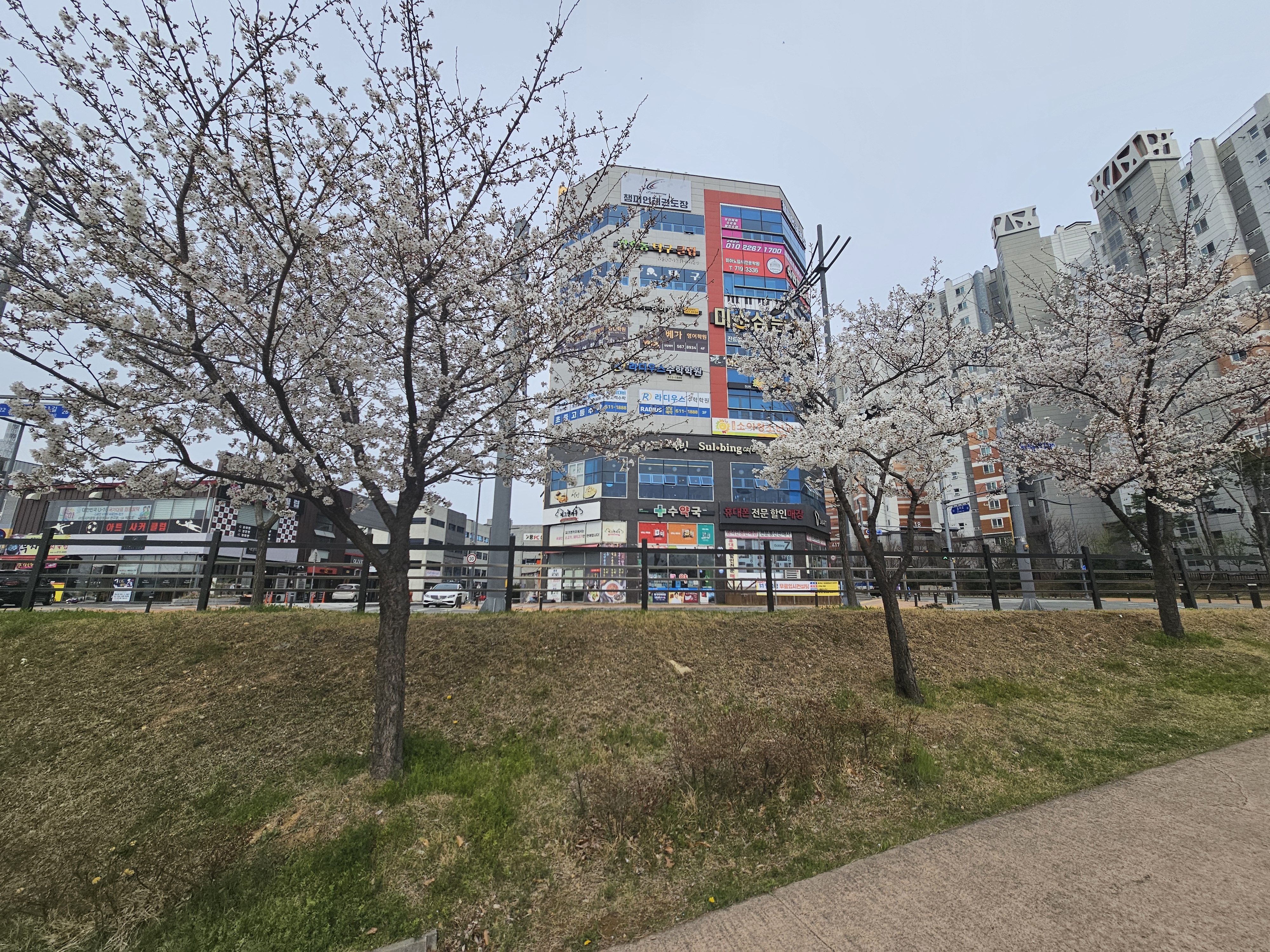 설빙 옥포점