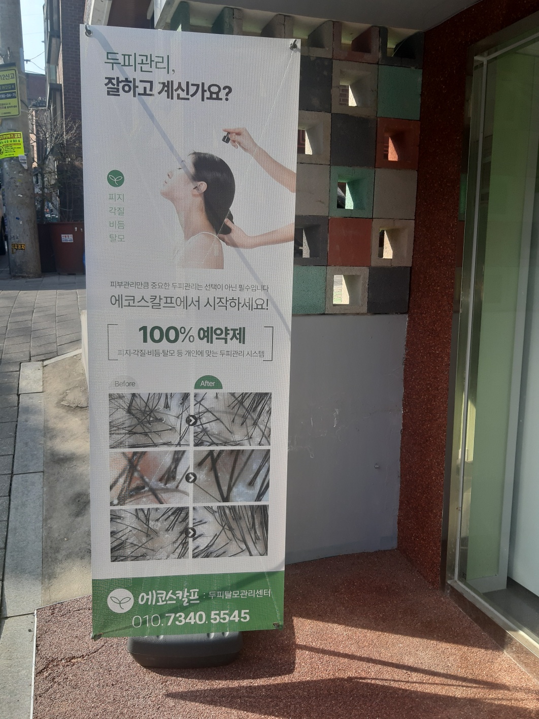 에코스칼프