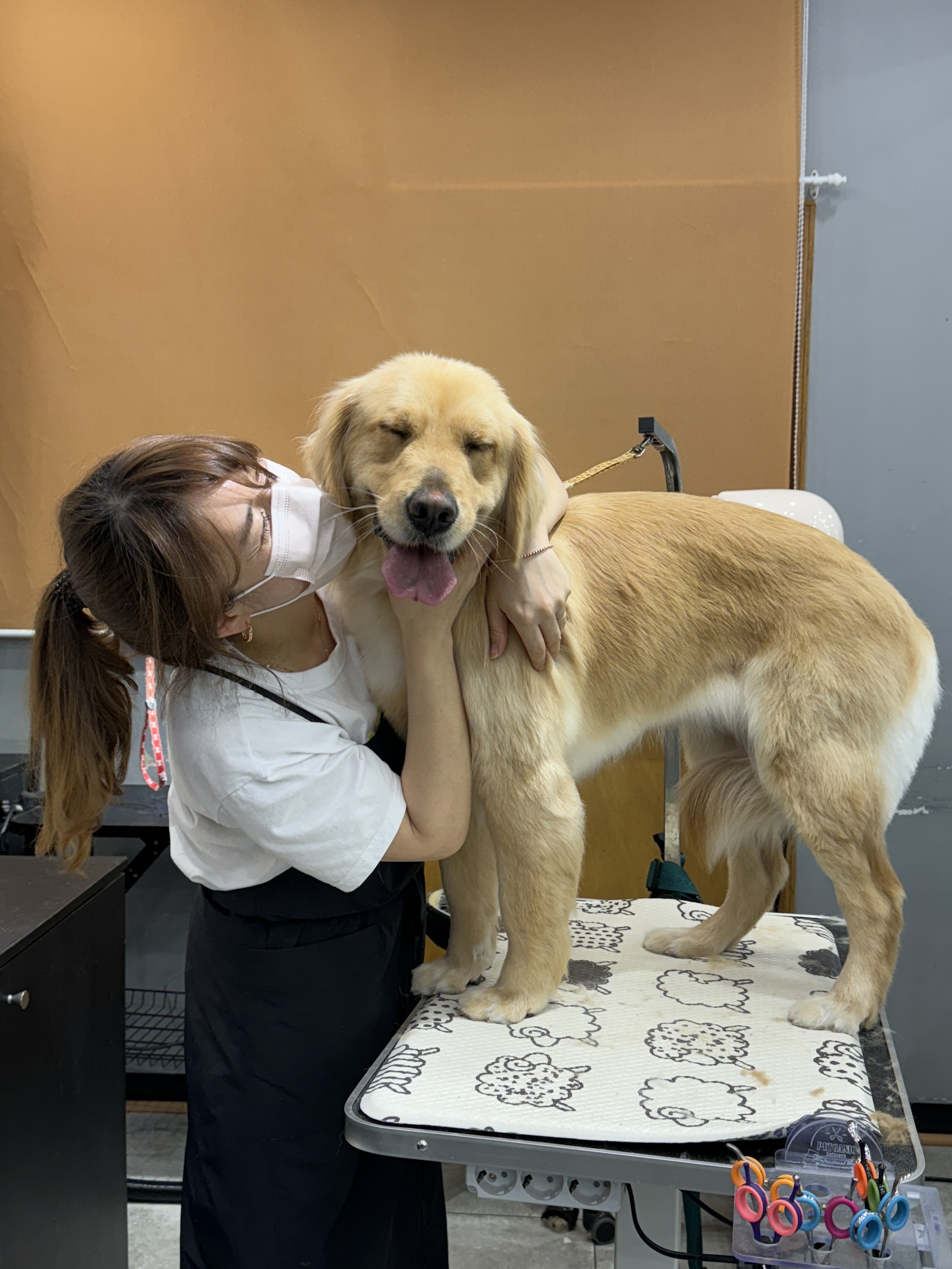야옹아멍멍해봐 원성점