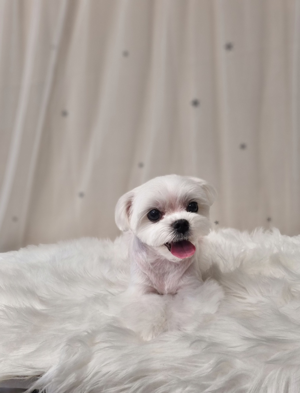 오즈동물병원 대표 이미지