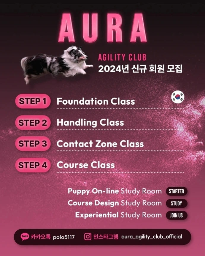 아우라어질리티클럽 대표 이미지