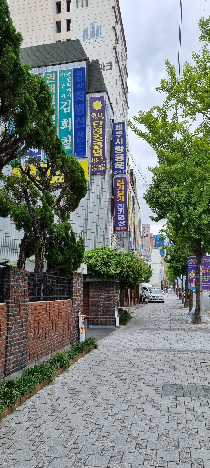 진기요가 대표 이미지