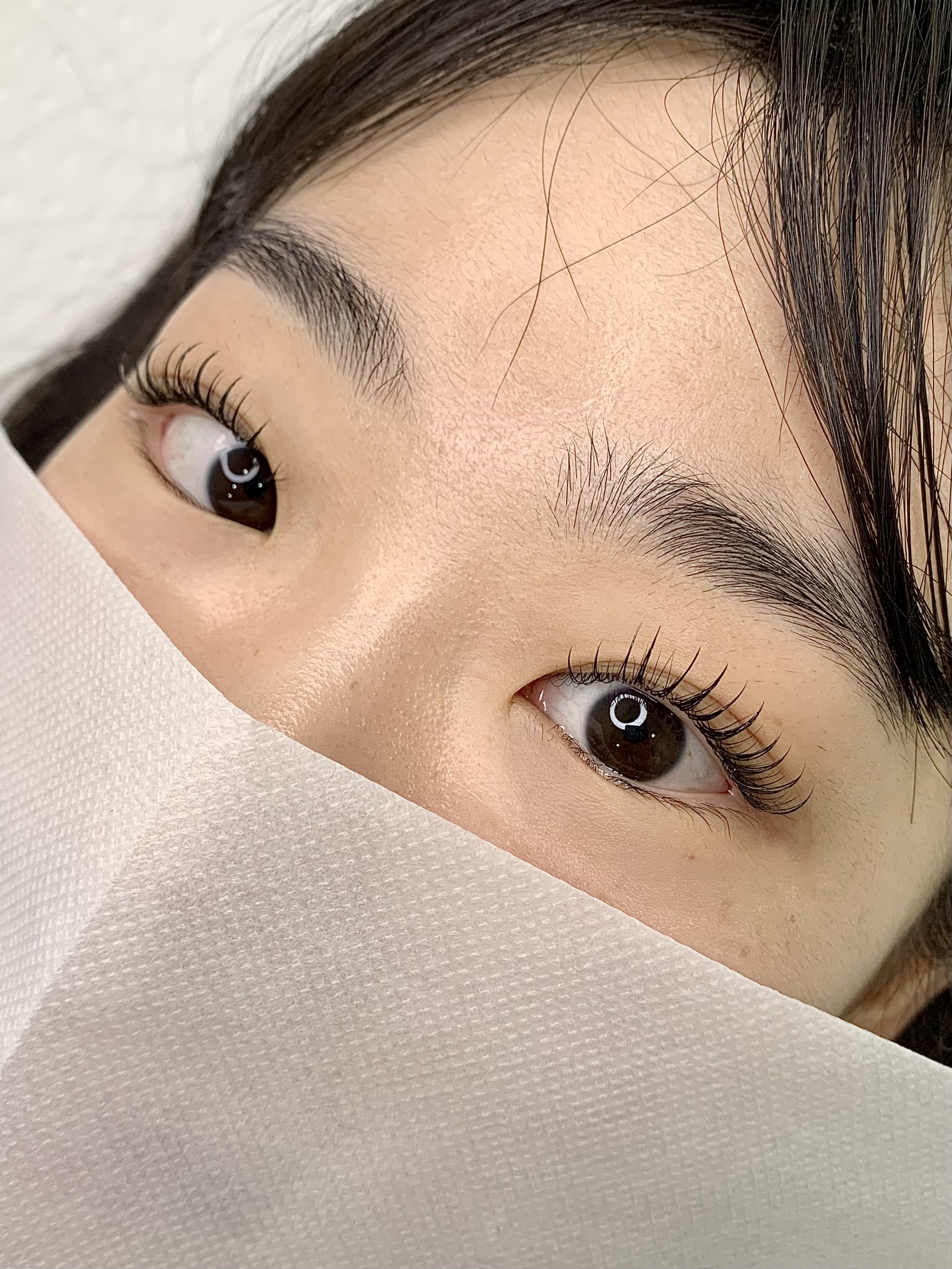 리비래쉬 대표 이미지