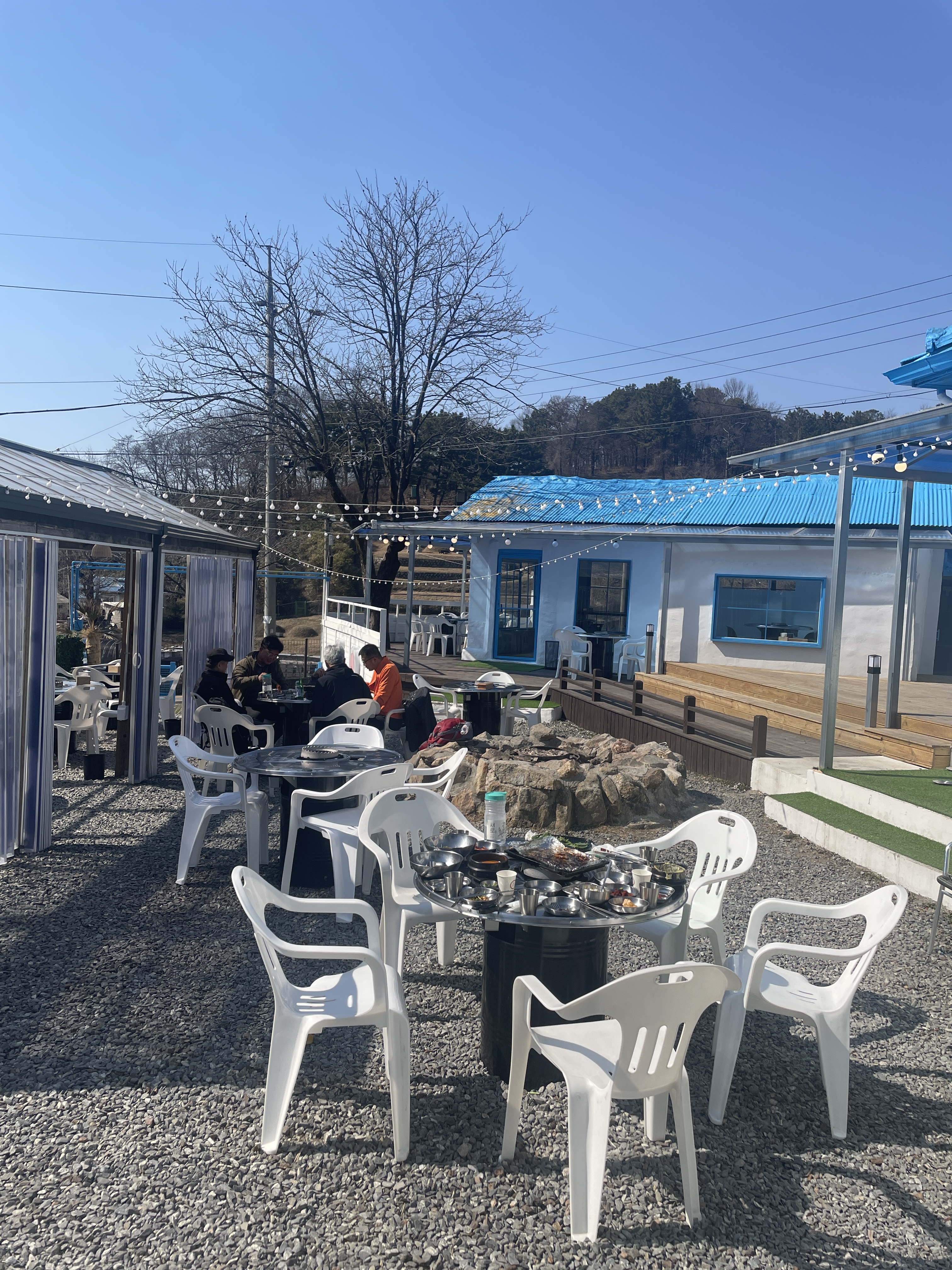 힐링이돼지