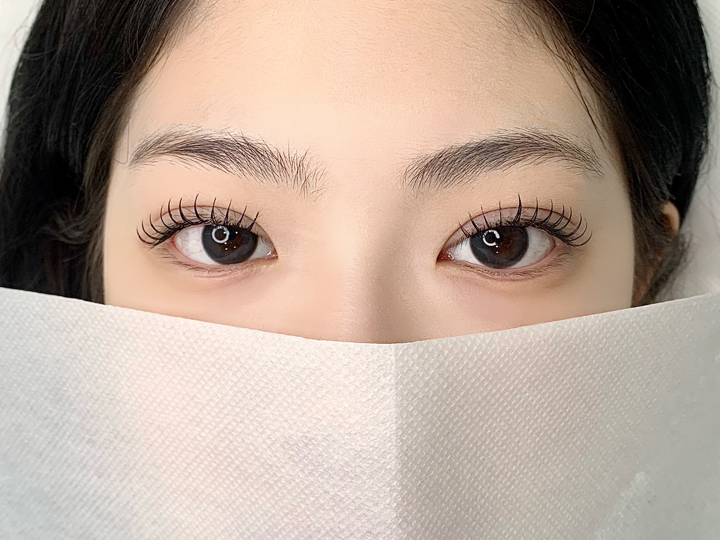 리비래쉬 대표 이미지