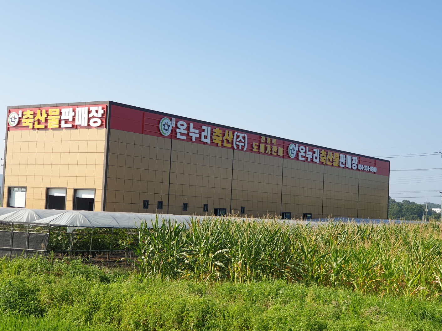 광고기획 한국지역정보