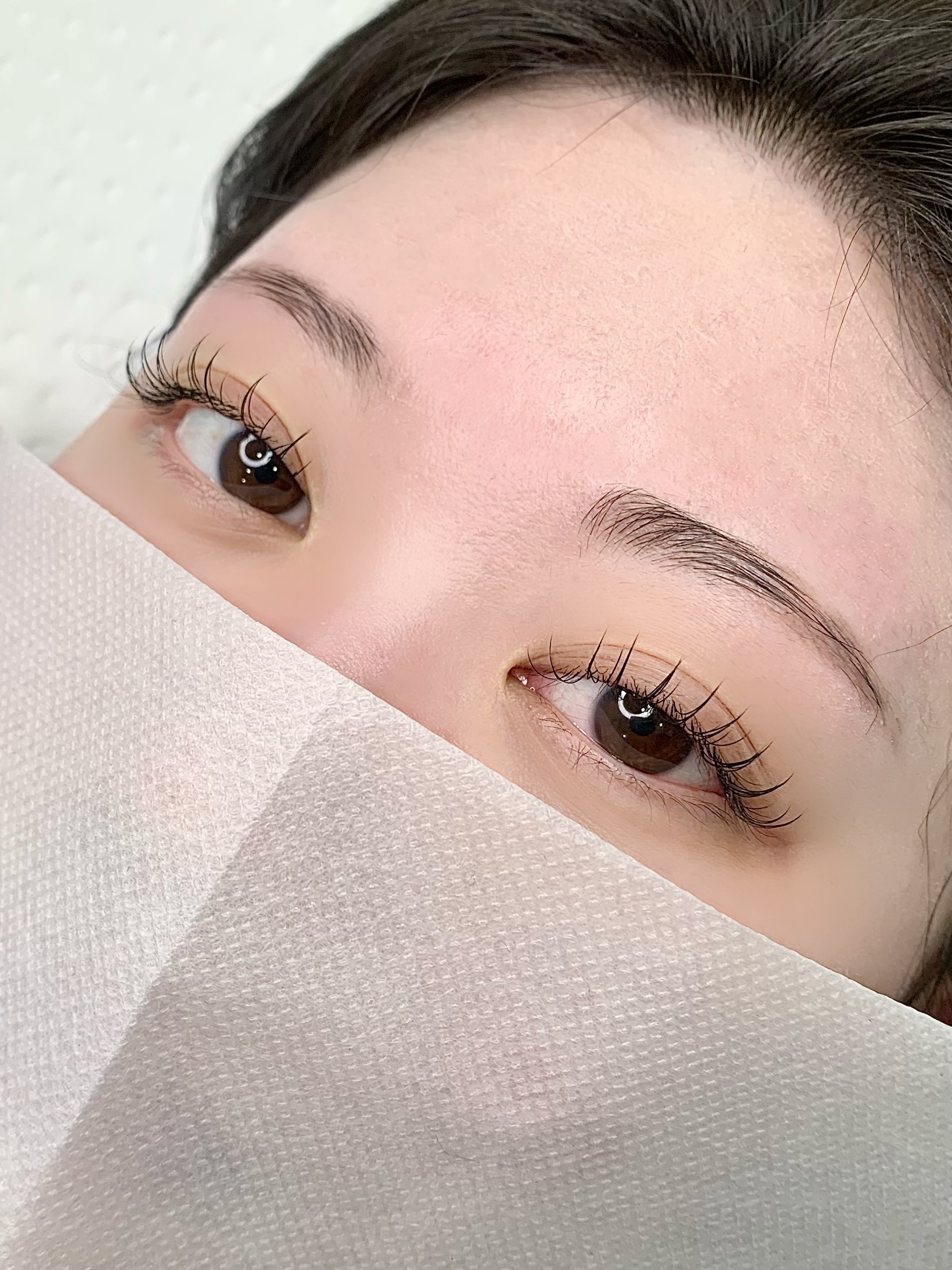 리비래쉬 대표 이미지