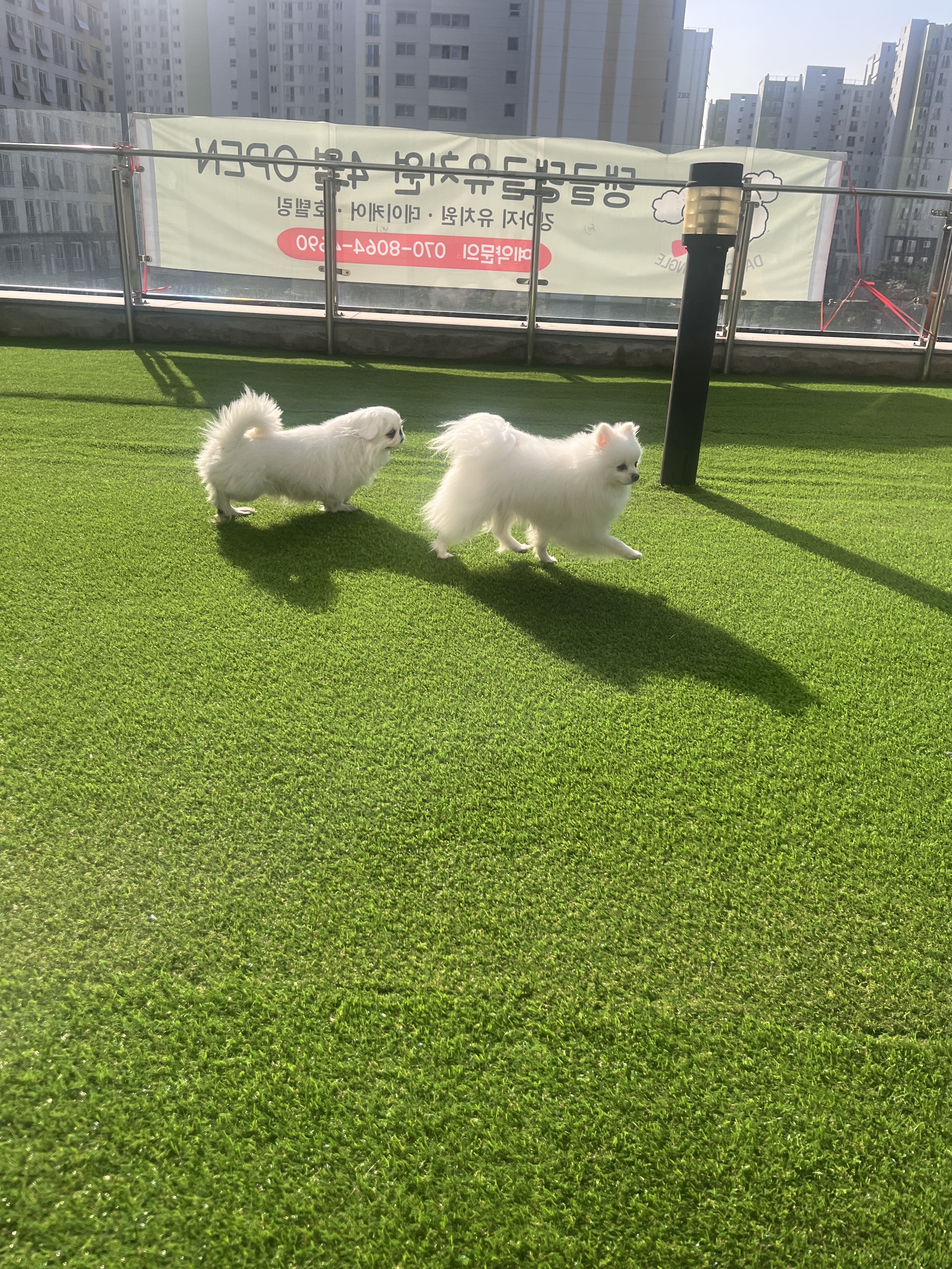 댕글댕글유치원 대표 이미지