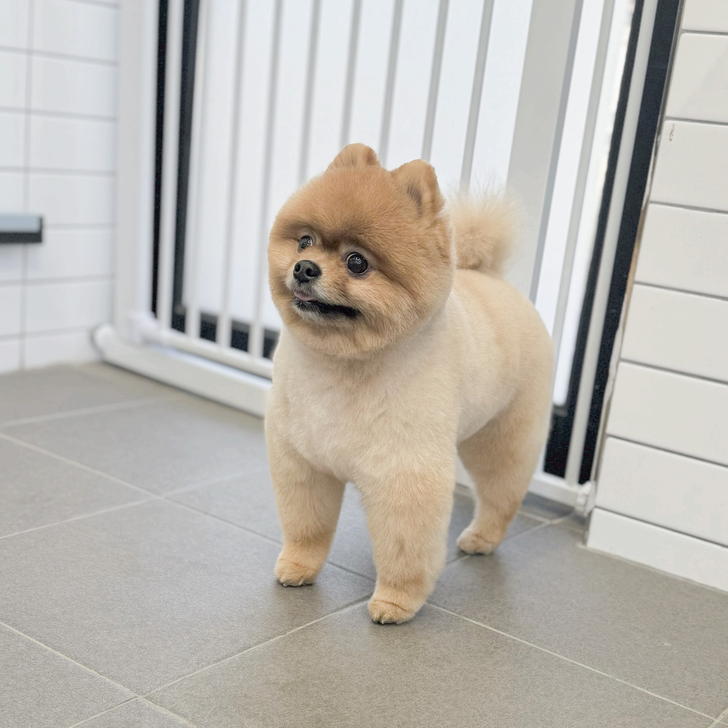 멍또와 대표 이미지
