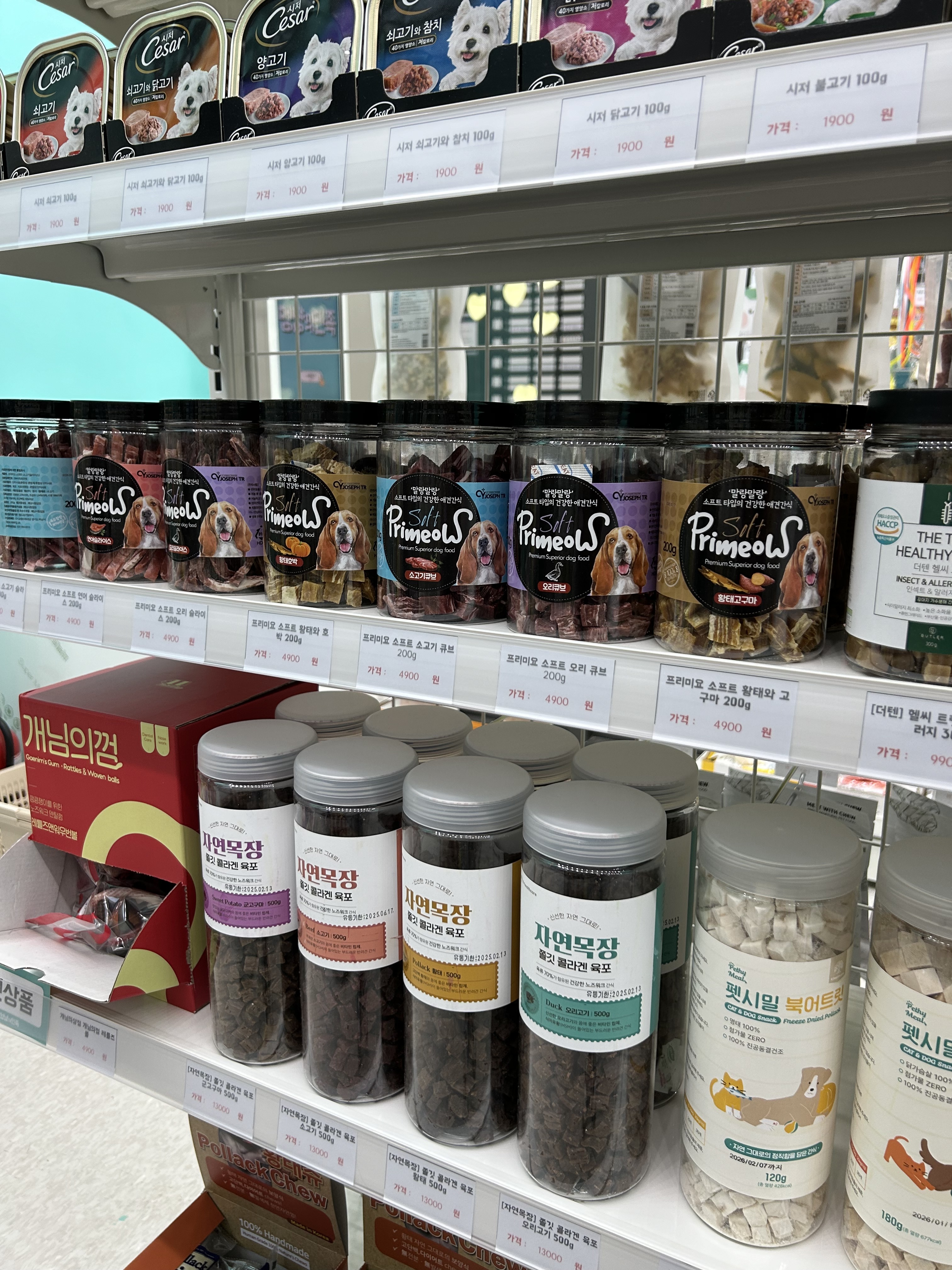 멍냥의민족 성수점 대표 이미지