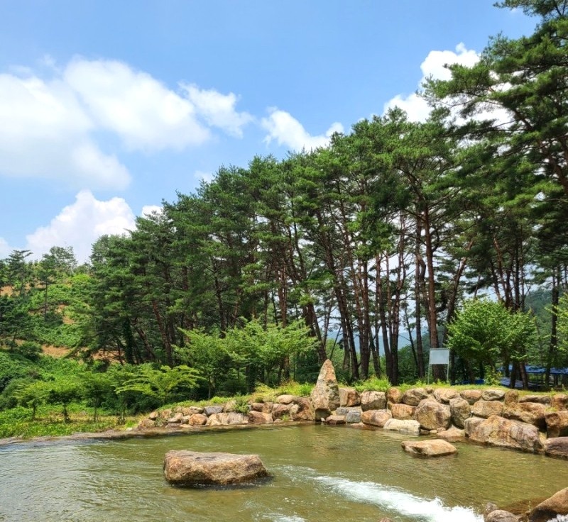 당동솔밭가든